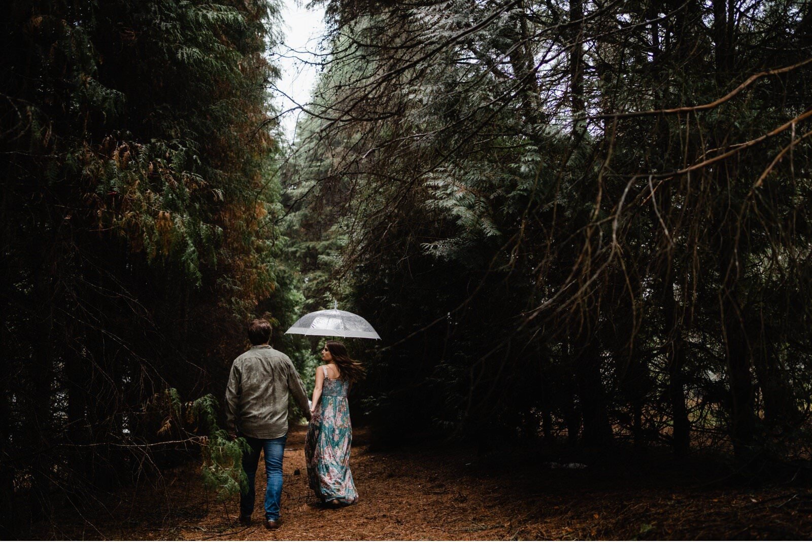 allview-escape-blue-mountains-wedding-photographer-couples-shoot-blackheath-19.jpg