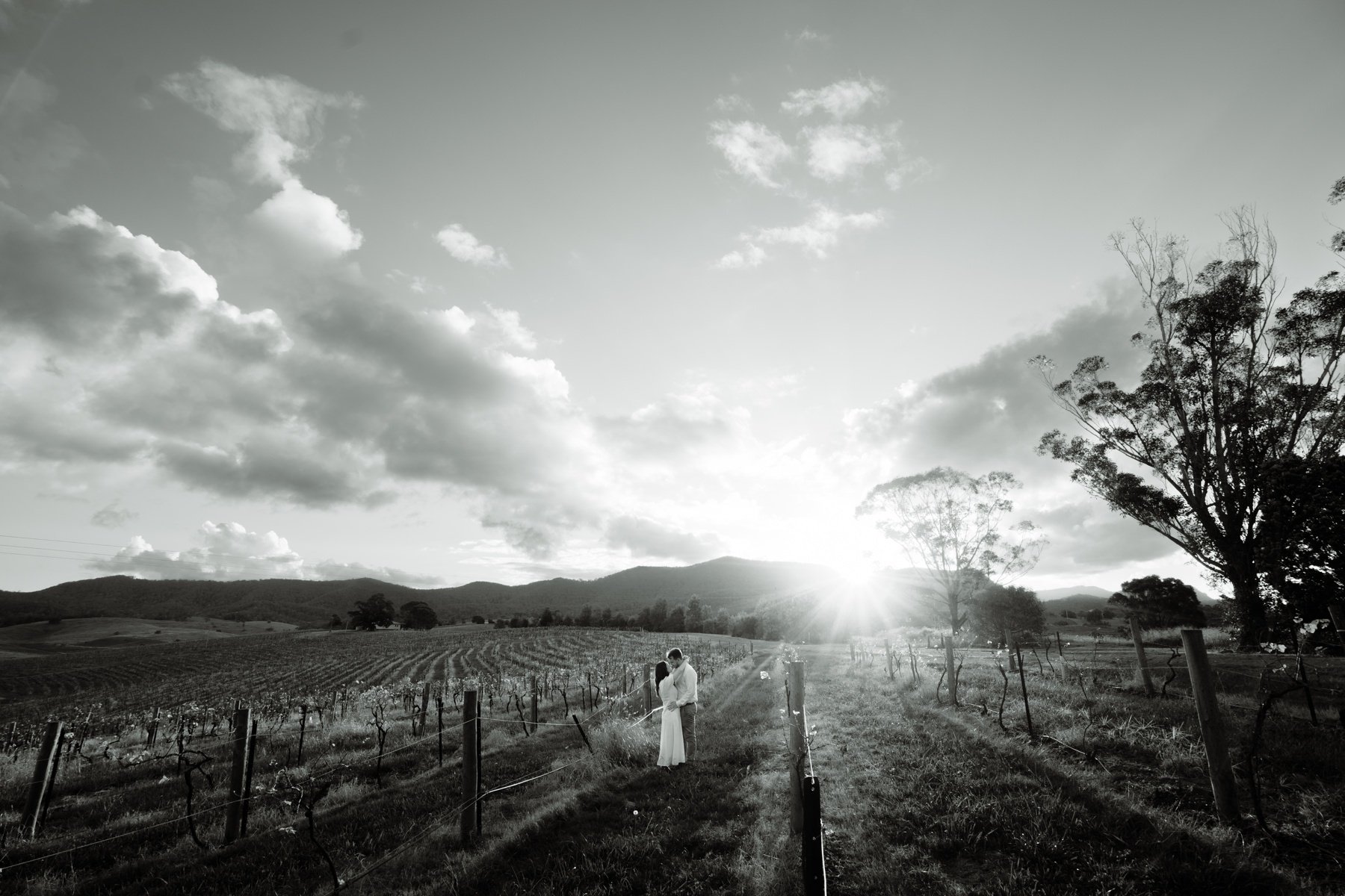 38 Sunset Hunter Valley Engagement Shoot Tim and Kim.jpg