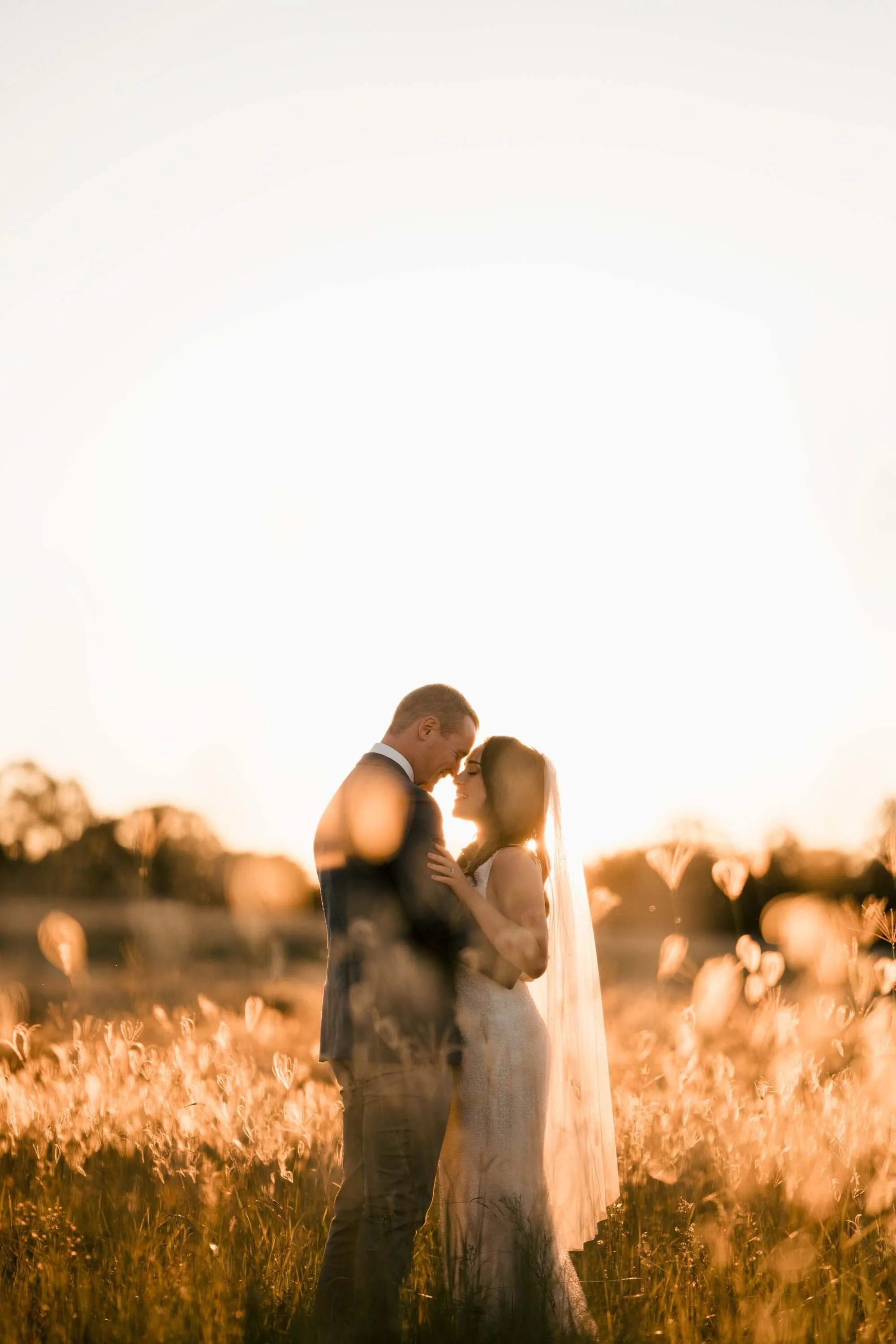 Long golden grass at sunset at Bimbadgen Palmers Lane