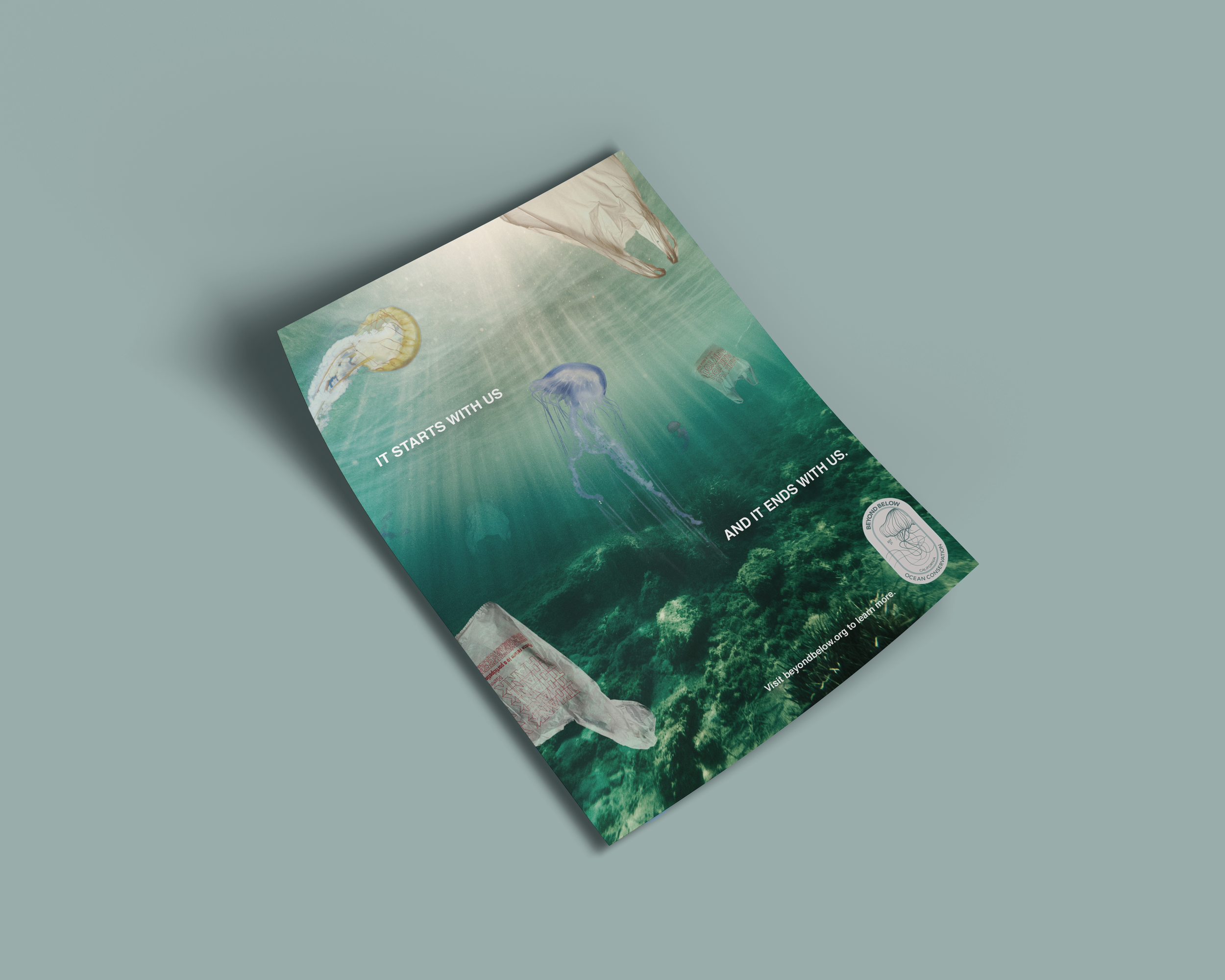 portfolio.png