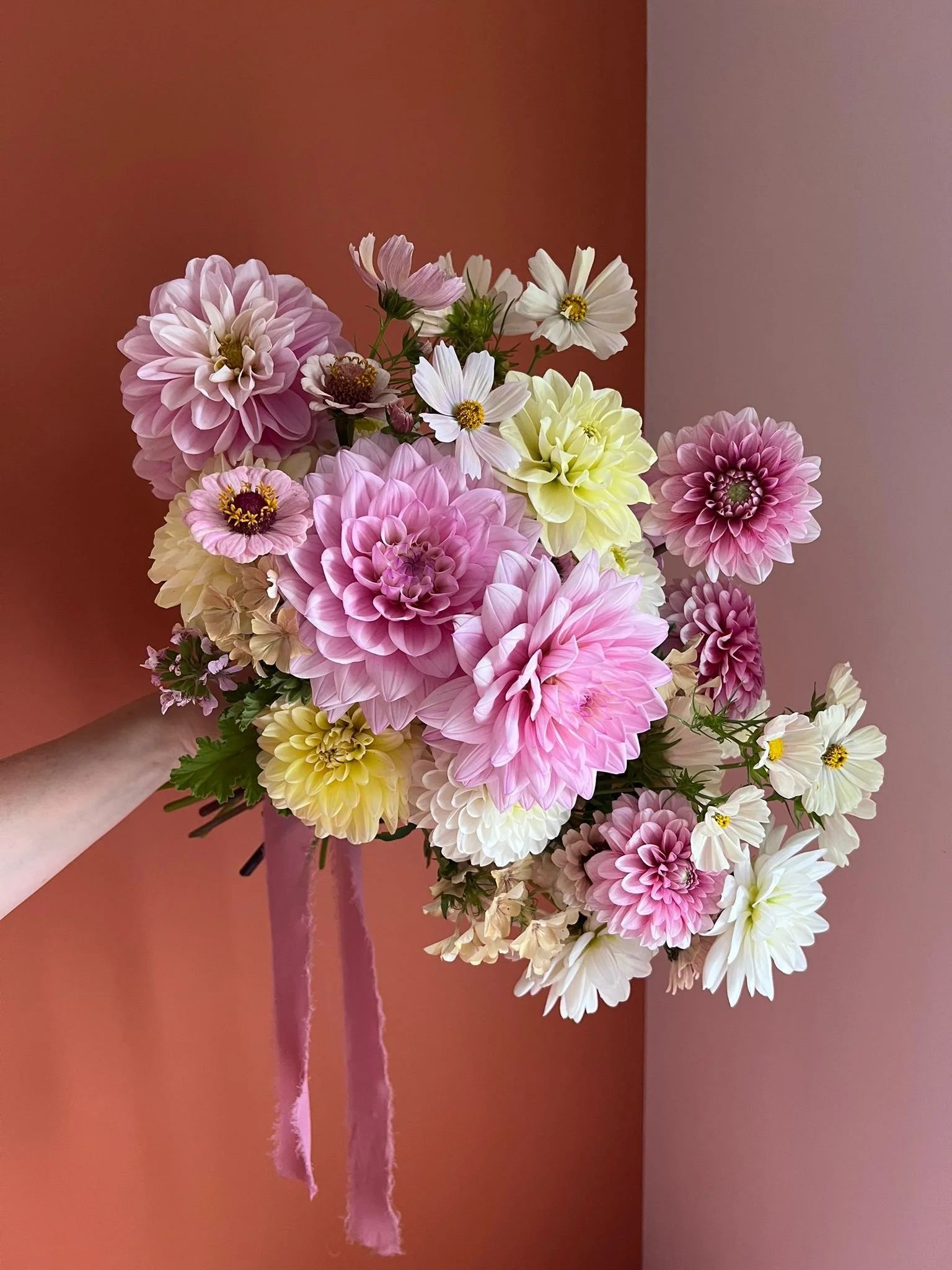 WhatsApp Image 2025-08-16 at 19.39.41.jpeg