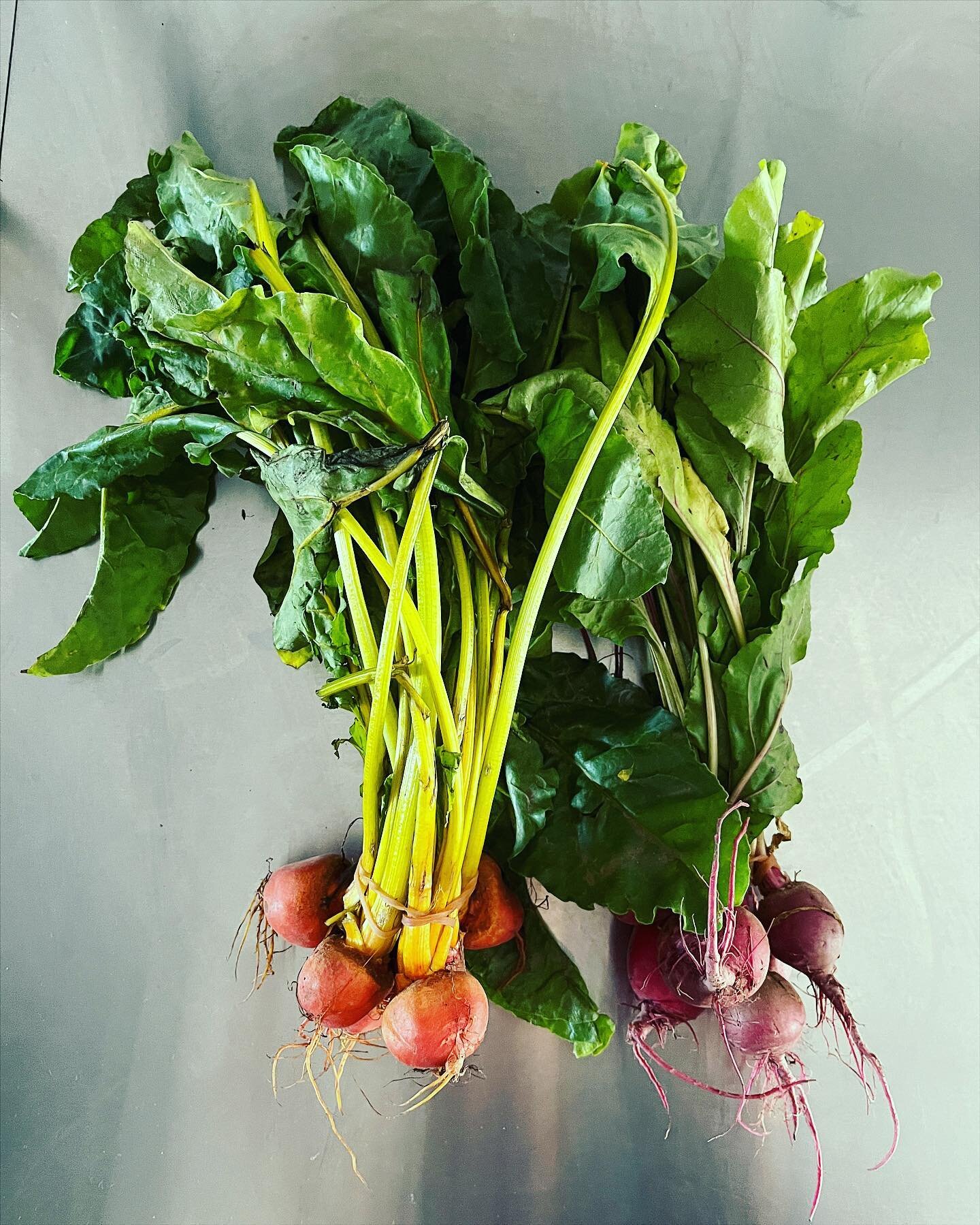 Gorgeous baby beets ❤️🧡💛💚💜

#eattherainbow#vegetables#summerveg#beetroot
#plants#seasonalfood#seasonal#plantbased#kalicooking#londonchef#privatechef#palmgreens#londonfood#eastlondonfood#hackney