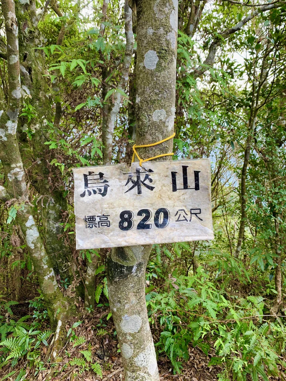 IMG_6220.JPG