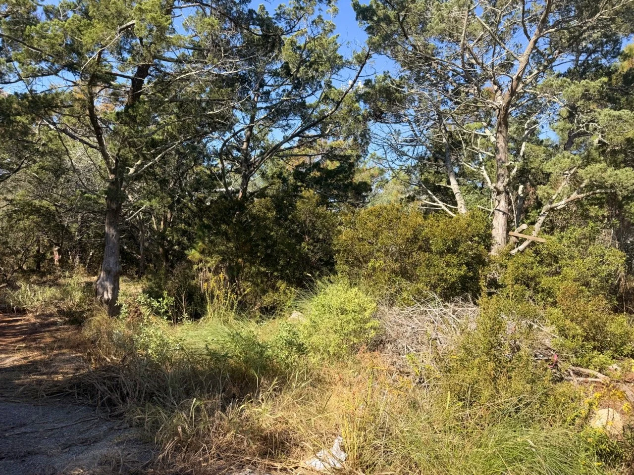 IMG_1794 Large.jpeg