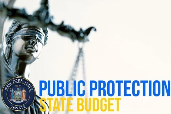 Testimony on Public Protection for 2025-2026 Budget