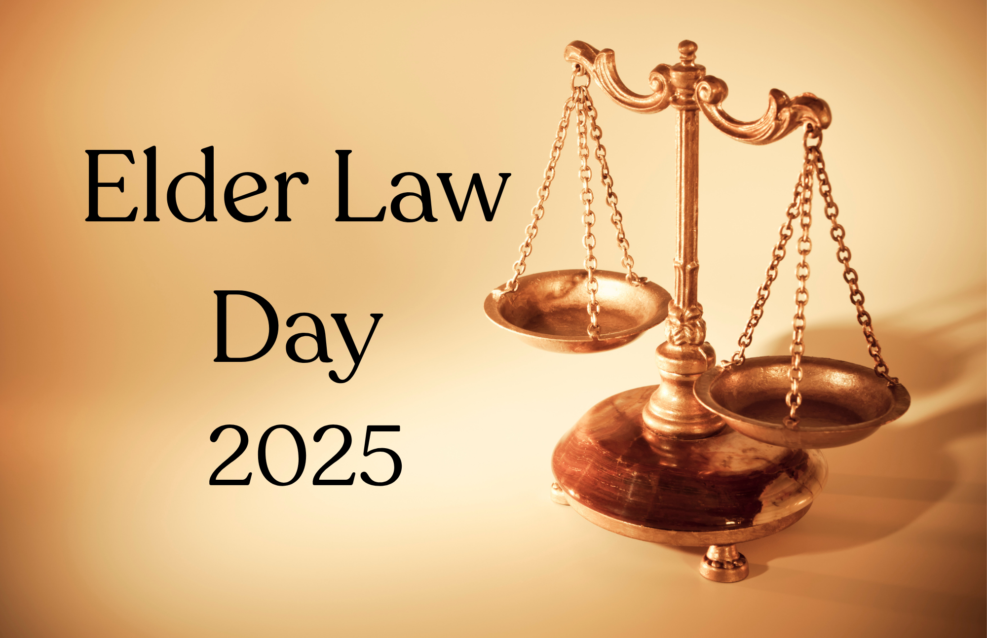 Hundreds of older New Yorkers plan for the future at Elder Law event