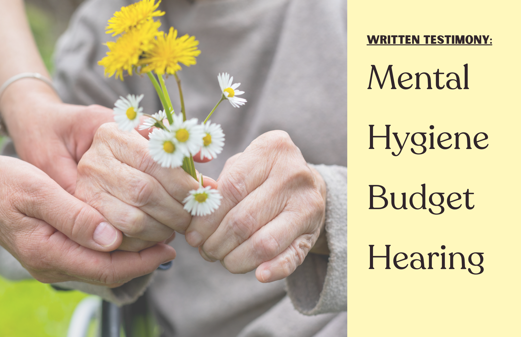 Testimony: Mental Hygiene Budget Hearing