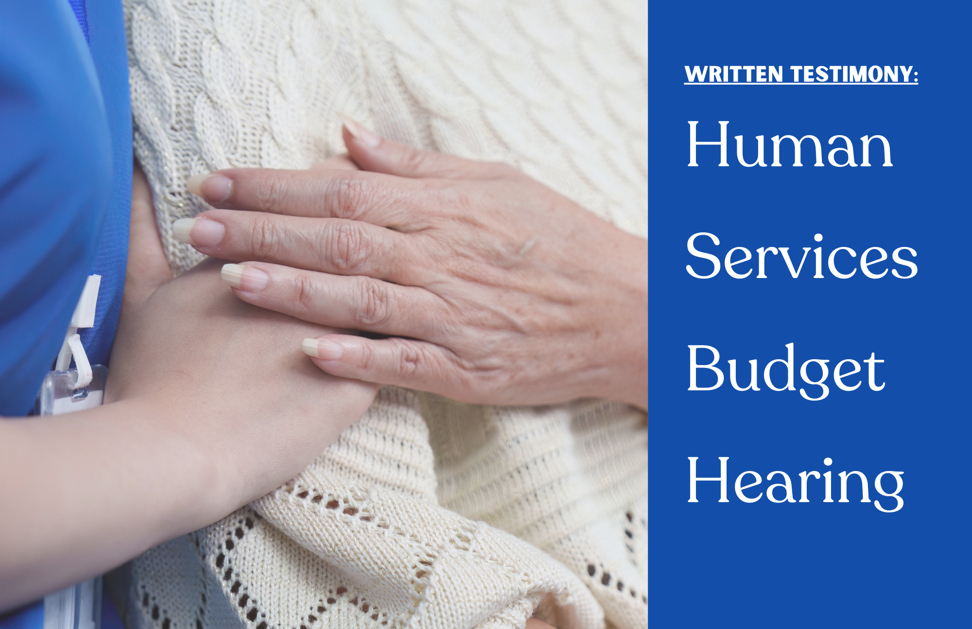 Testimony: Human Services Budget Hearing