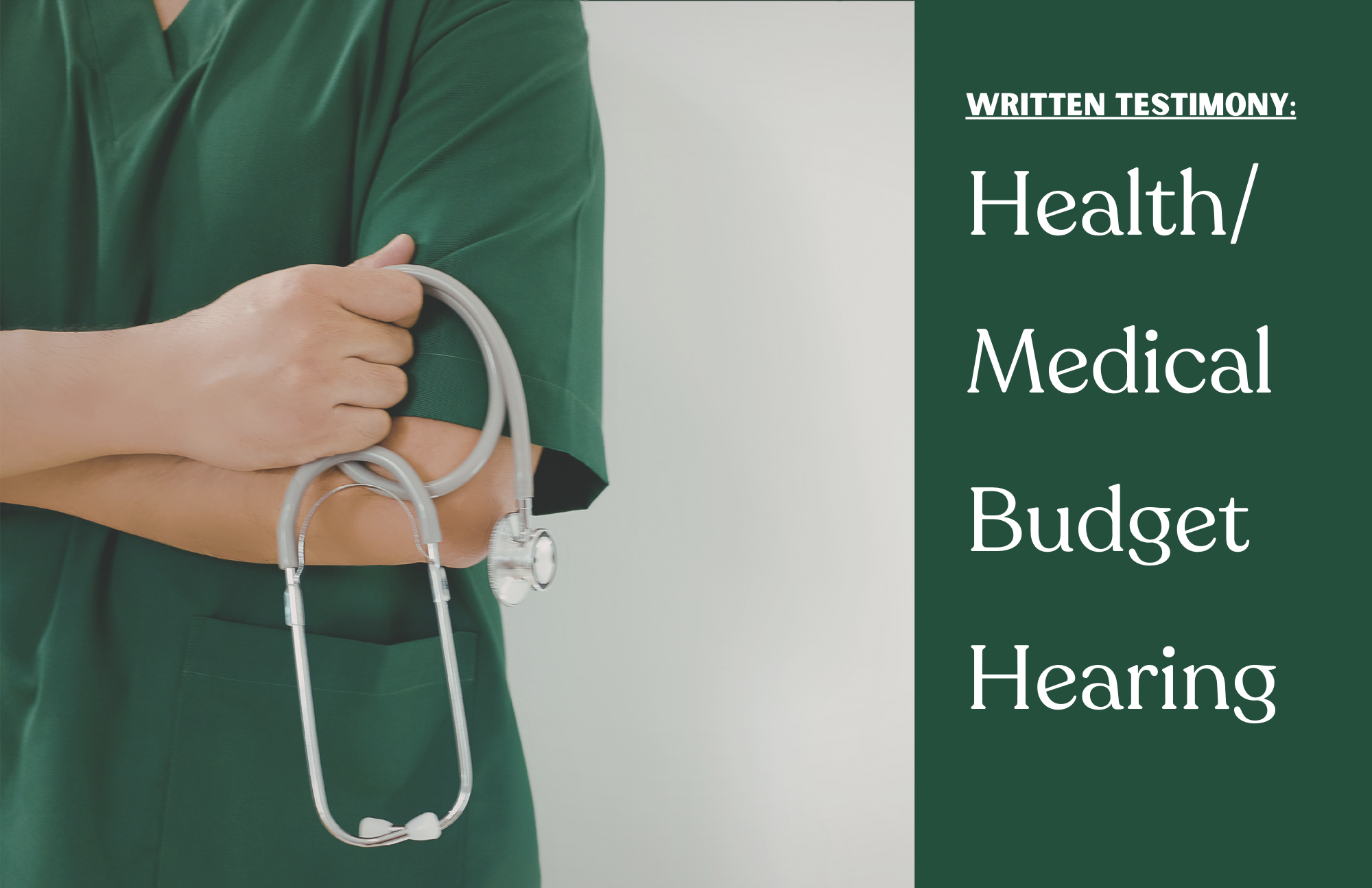 TESTIMONY: HEALTH/MEDICAL BUDGET HEARING
