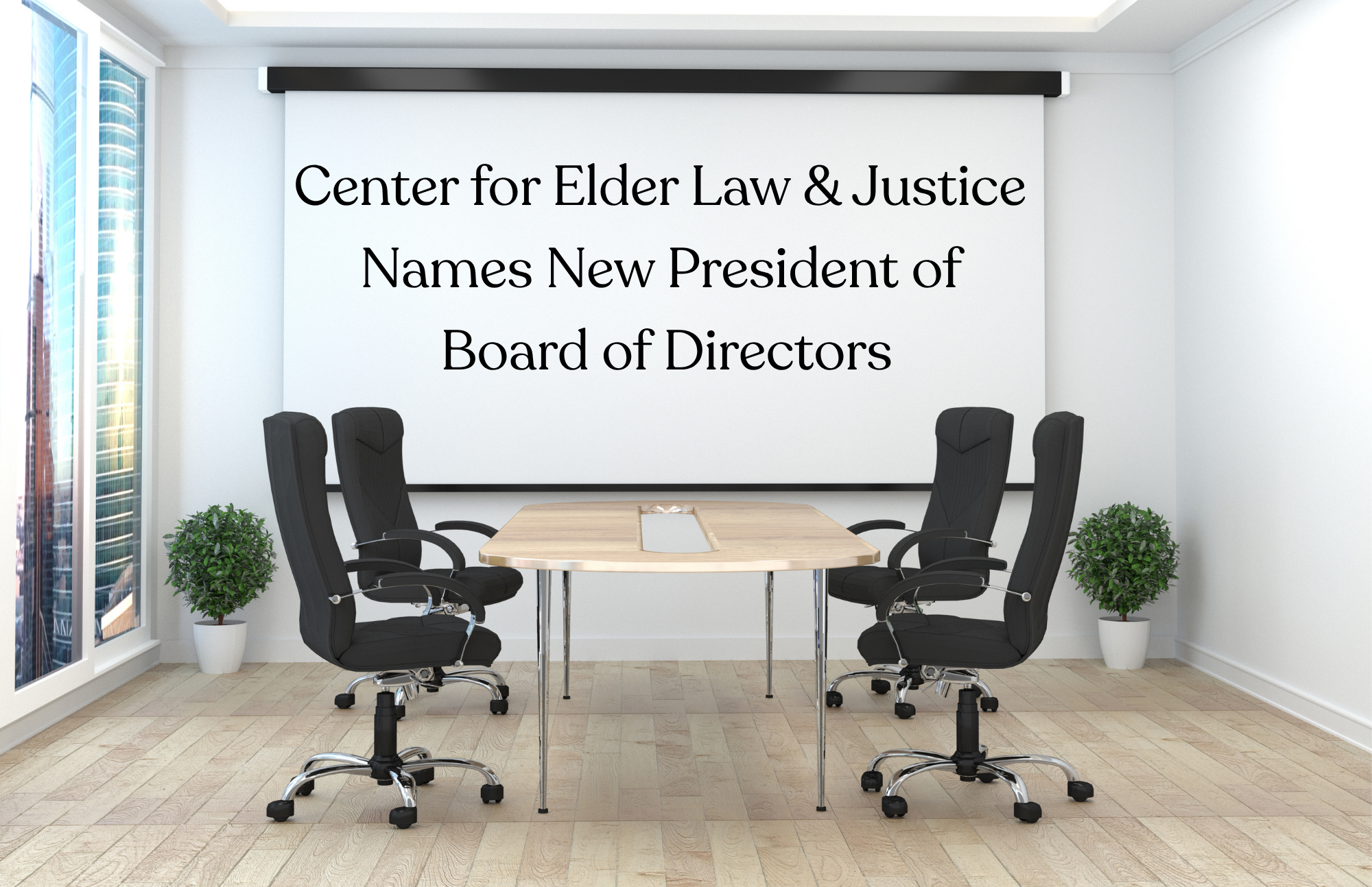 Center for Elder Law &amp; Justice Names New President of Board of Directors