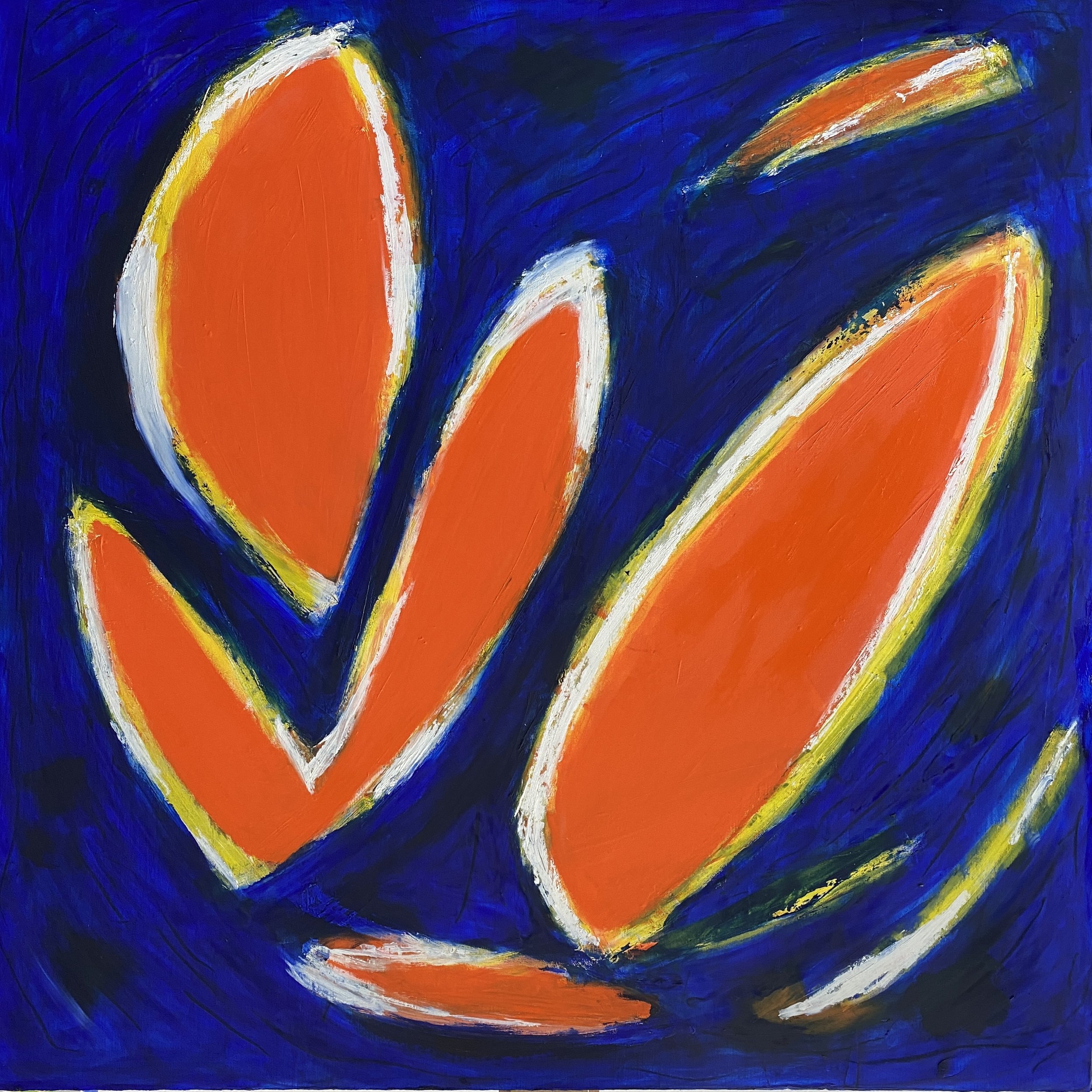 Koi swim
