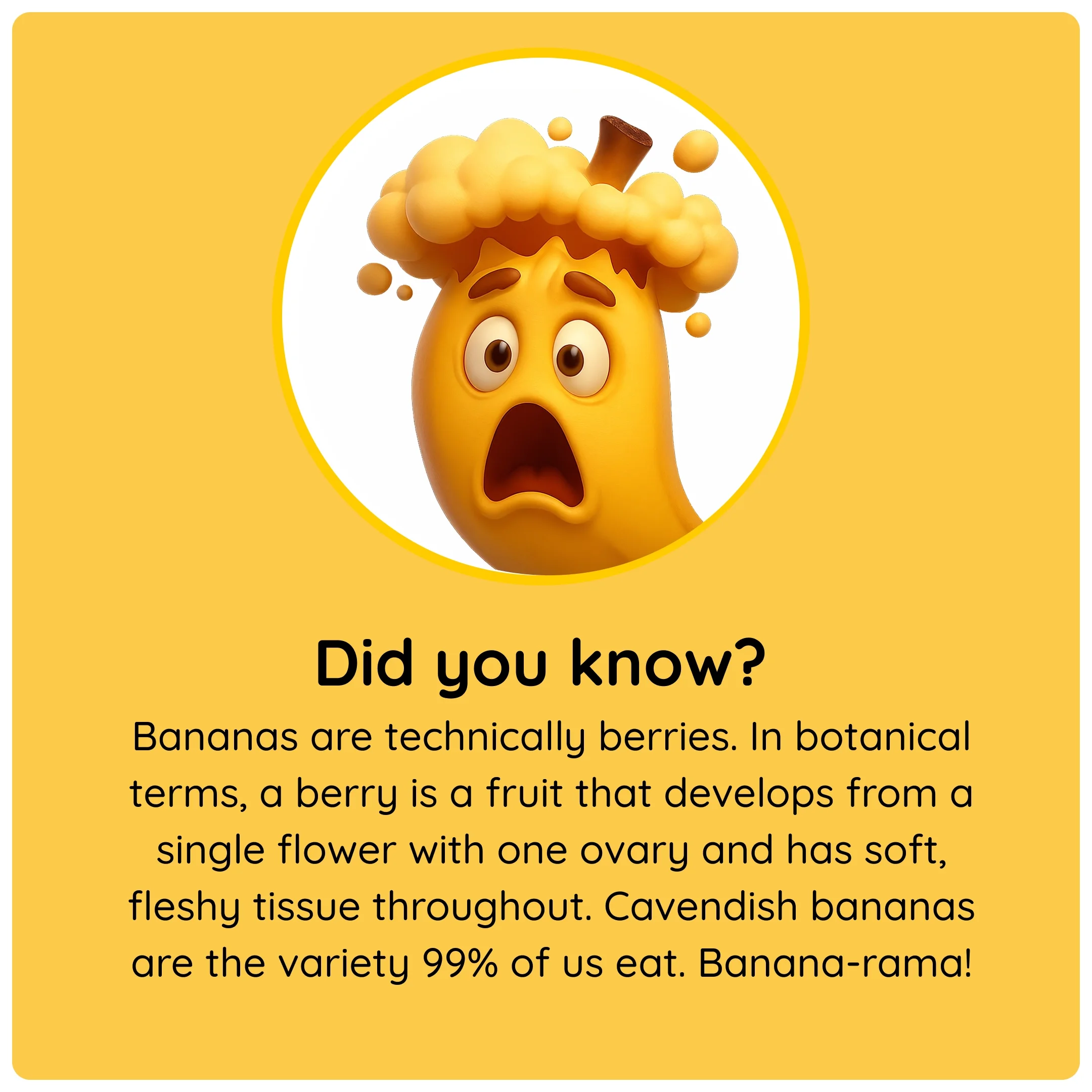  Surprised banana character with text explaining that bananas are technically berries. 