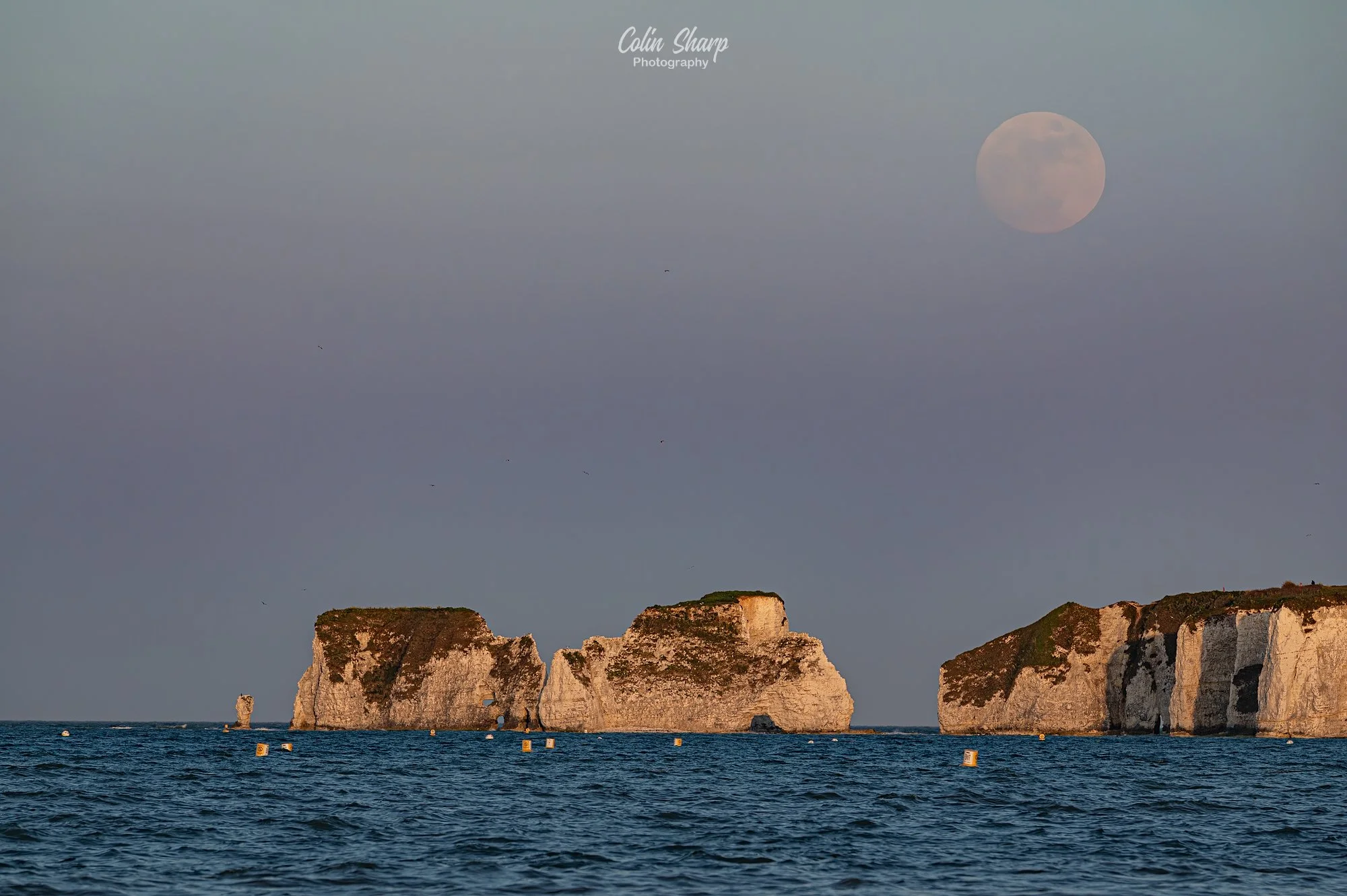 Flower Full Moon Rising Over Old Harry's Rocks, Dorset, May 26