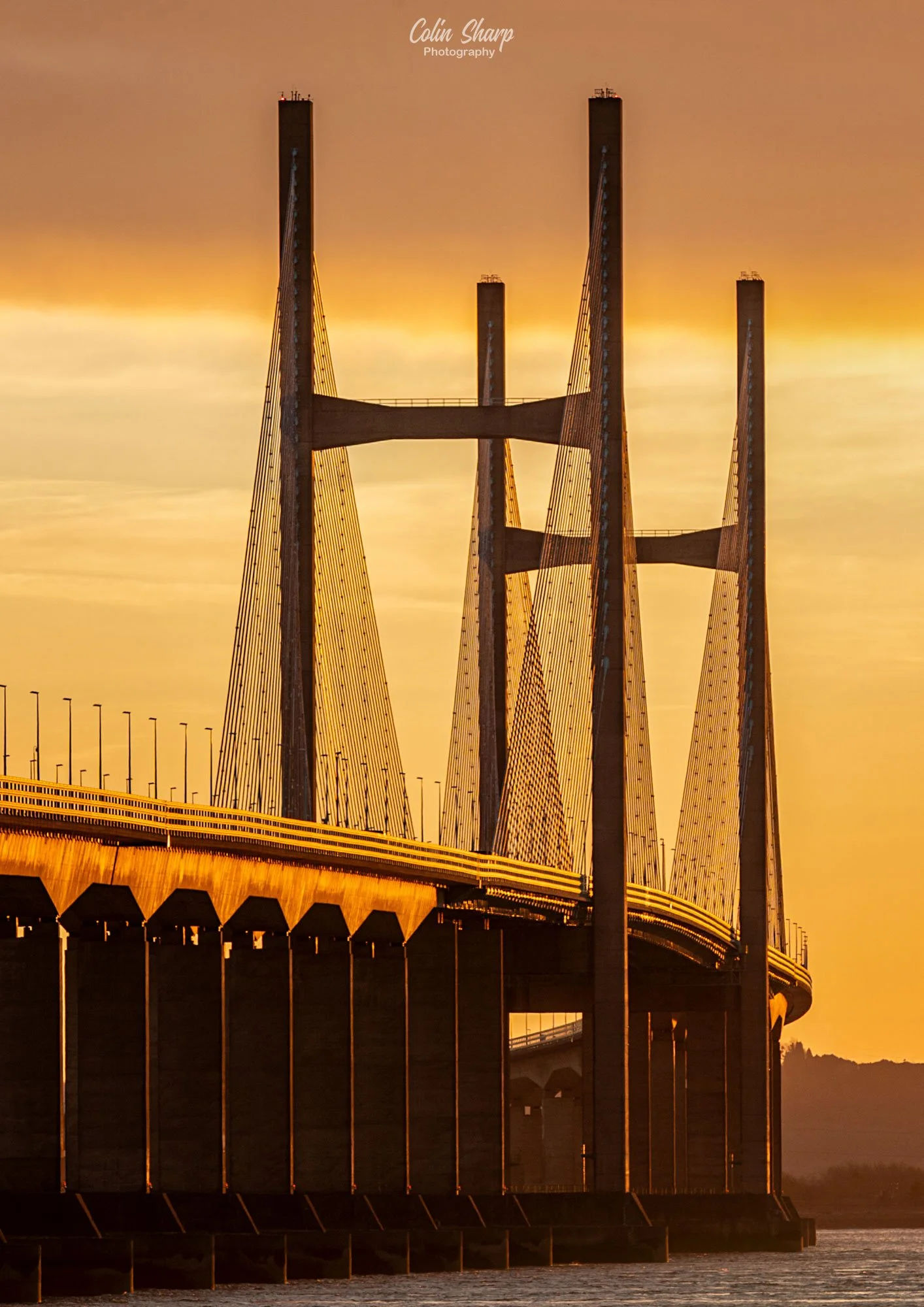 Golden Spans at Daybreak, Prince of Wales Bridge, Jan 25