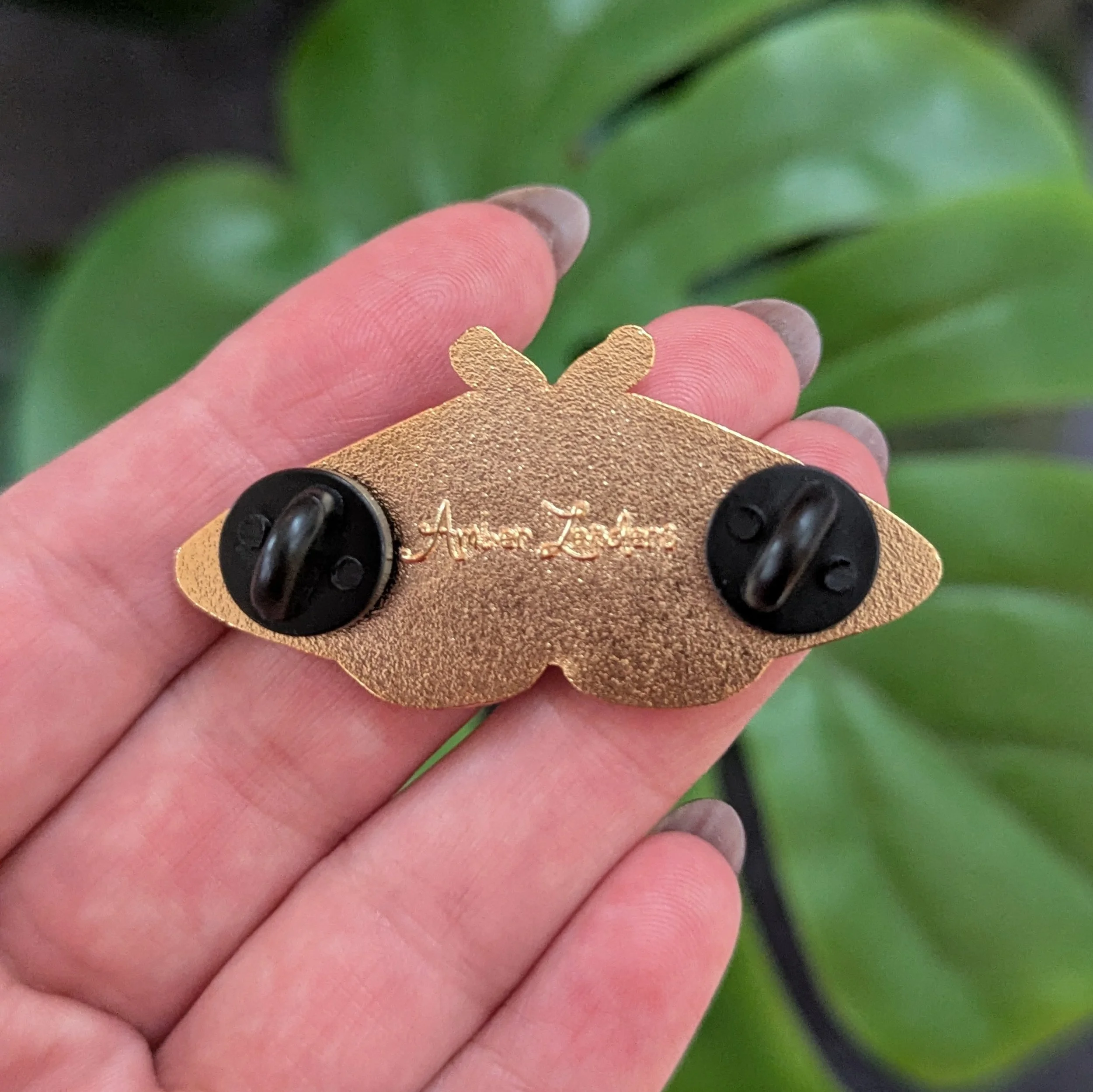 SheepMoth5.jpg