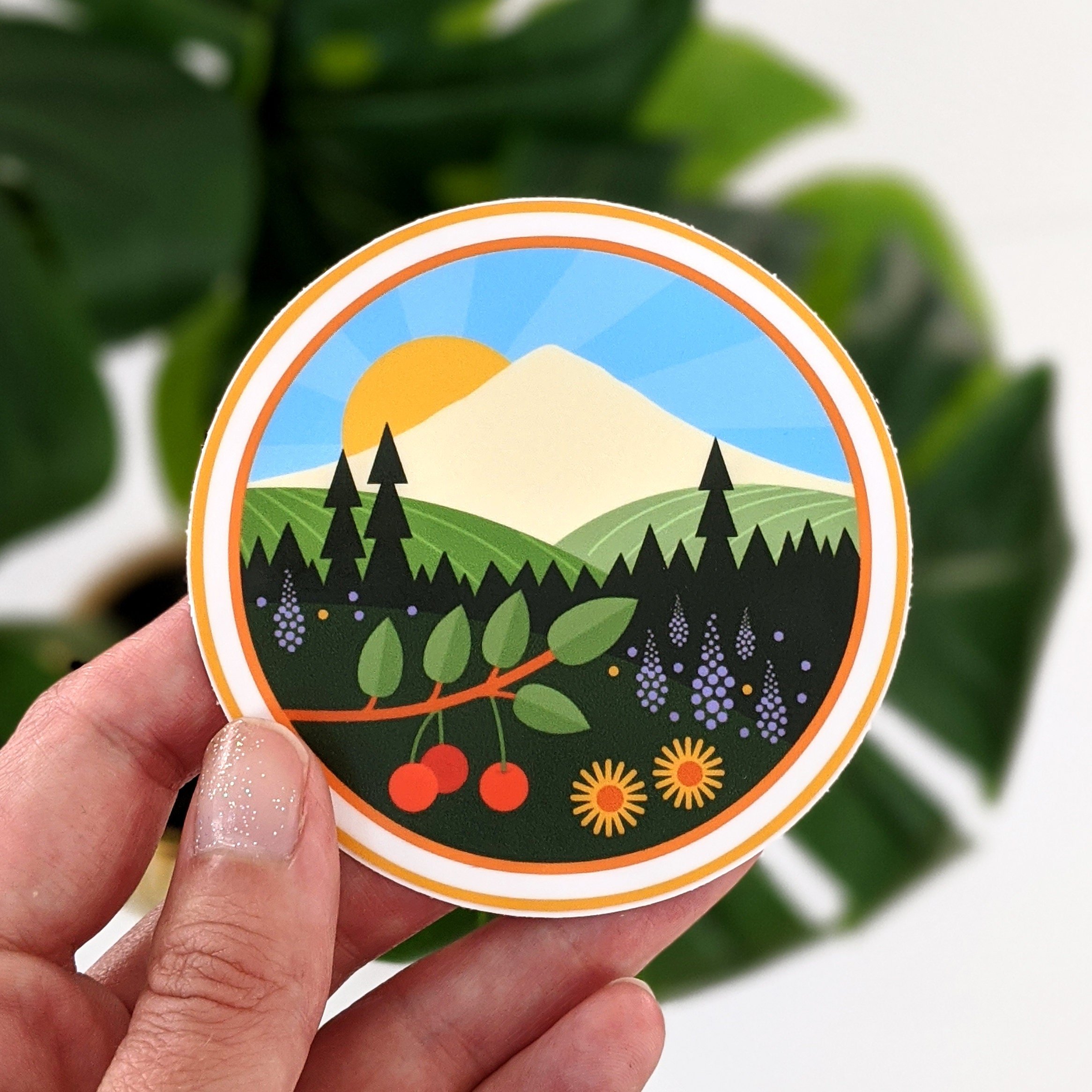 https://i.etsystatic.com/8536469/r/il/8f9f2f/2507894195/il_fullxfull.2507894195_l4m2.jpg