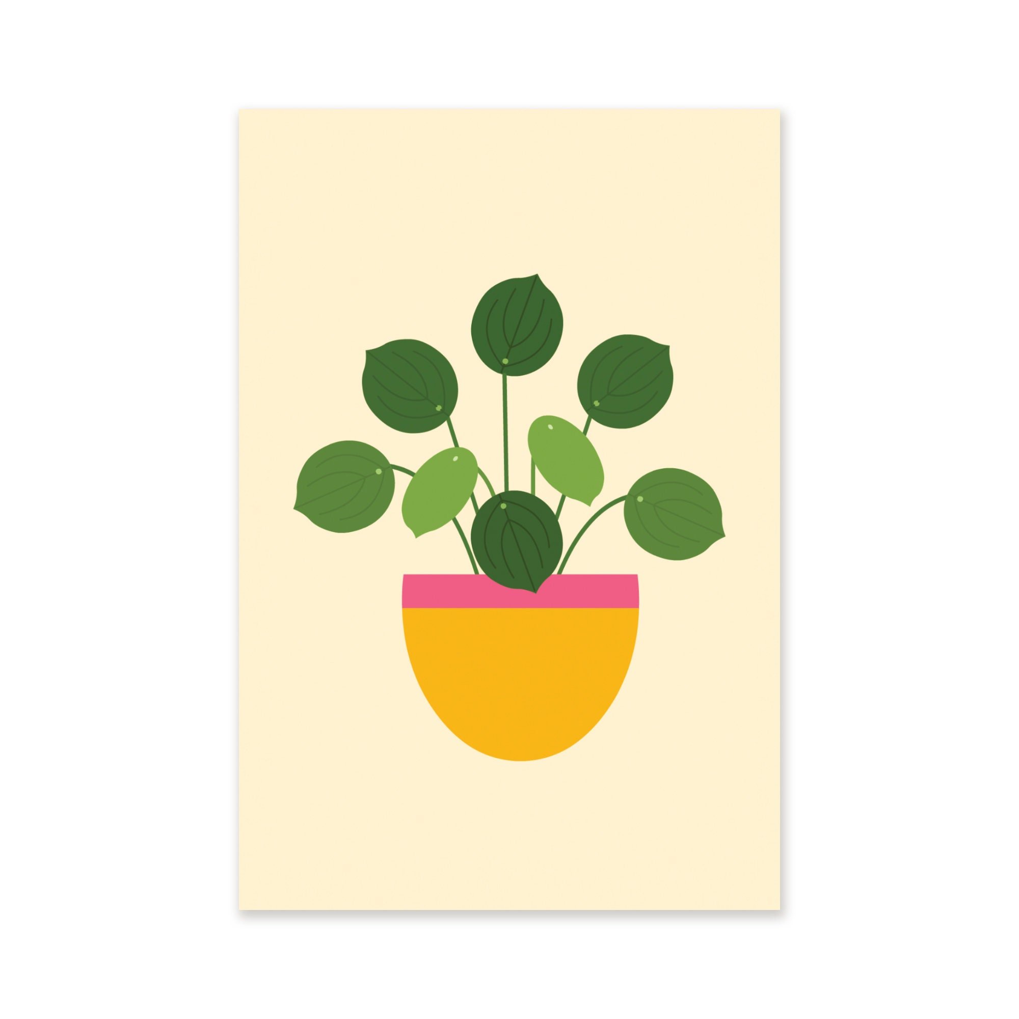 https://i.etsystatic.com/8536469/r/il/971ebc/3855466551/il_fullxfull.3855466551_f65e.jpg