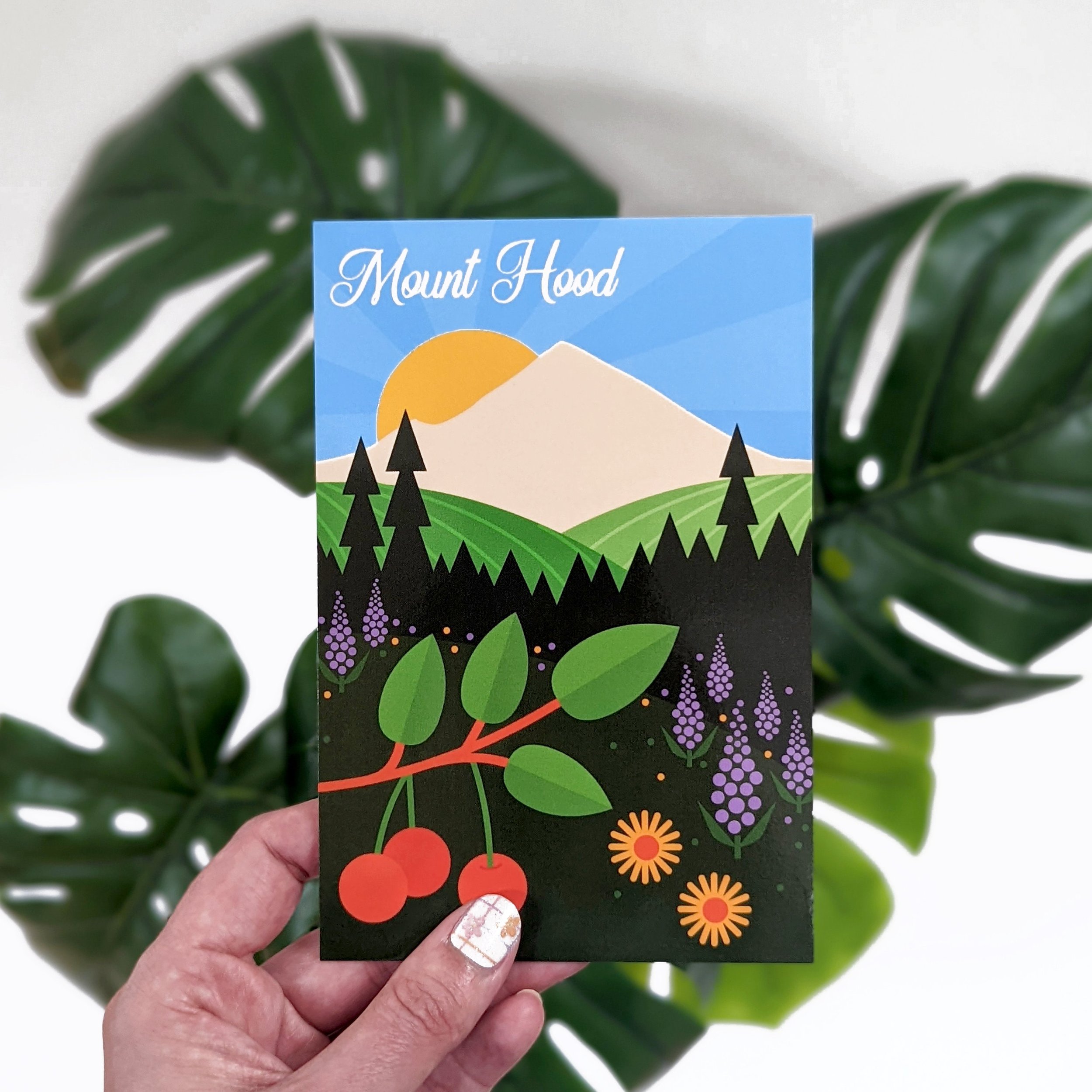 https://i.etsystatic.com/8536469/r/il/a62781/3808956864/il_fullxfull.3808956864_7x1f.jpg