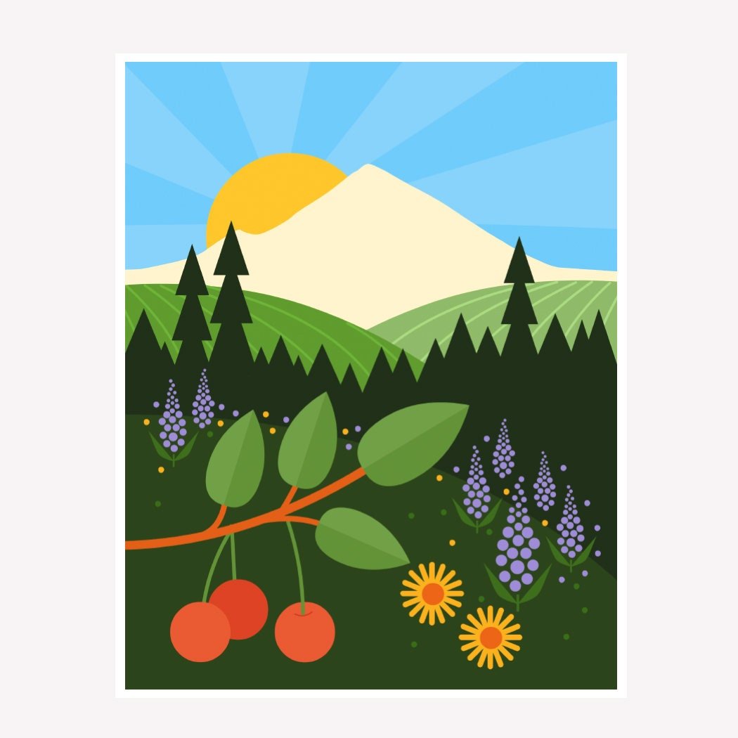 https://i.etsystatic.com/8536469/r/il/38093e/2821928140/il_fullxfull.2821928140_oh8c.jpg