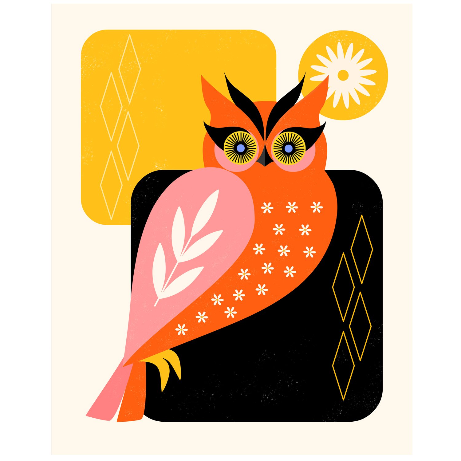 Owl1.jpg