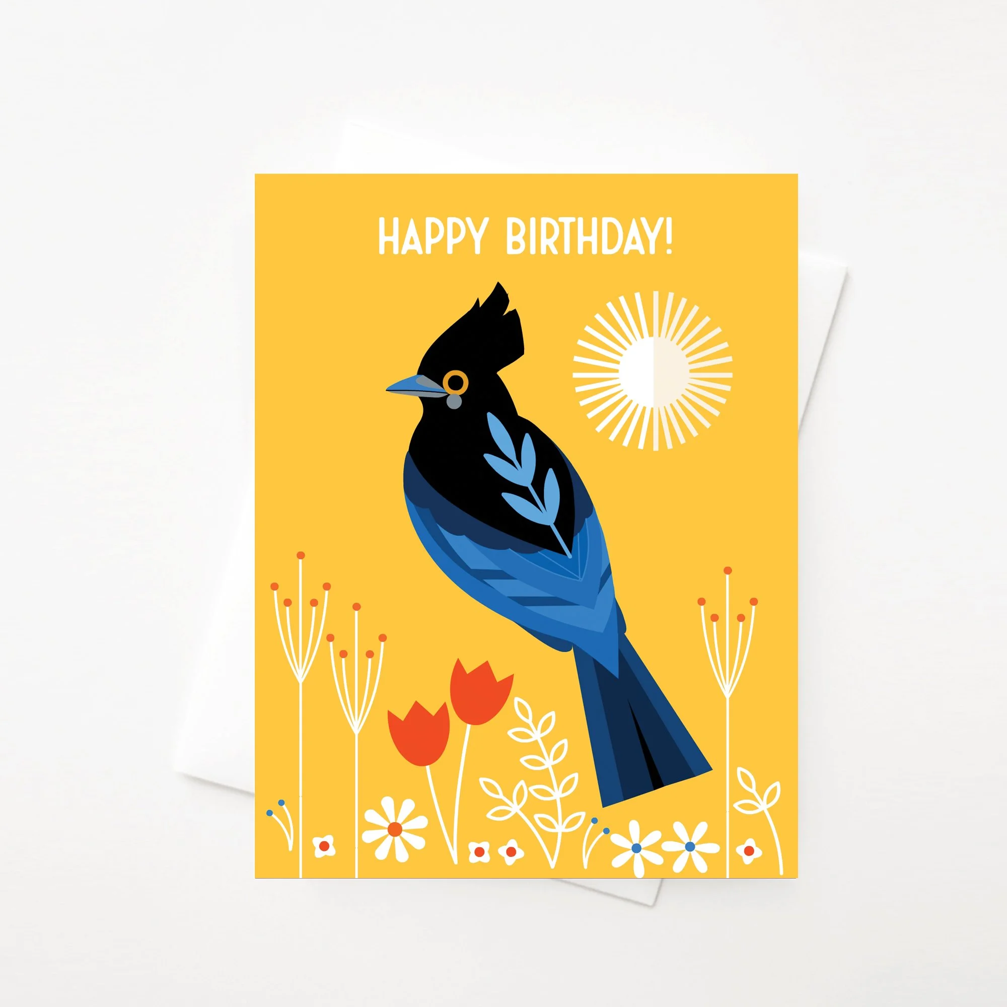 Stellar's-Jay-Birthday.jpg