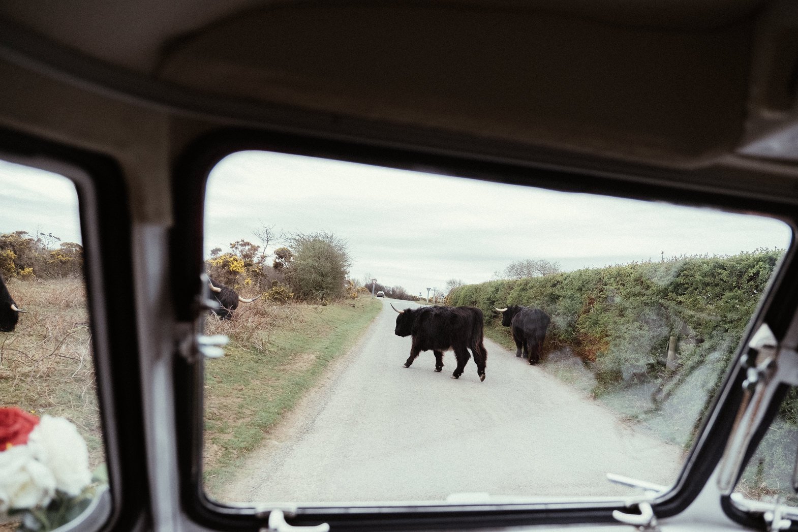 WEDDING HANNAH & STEF-24.jpg