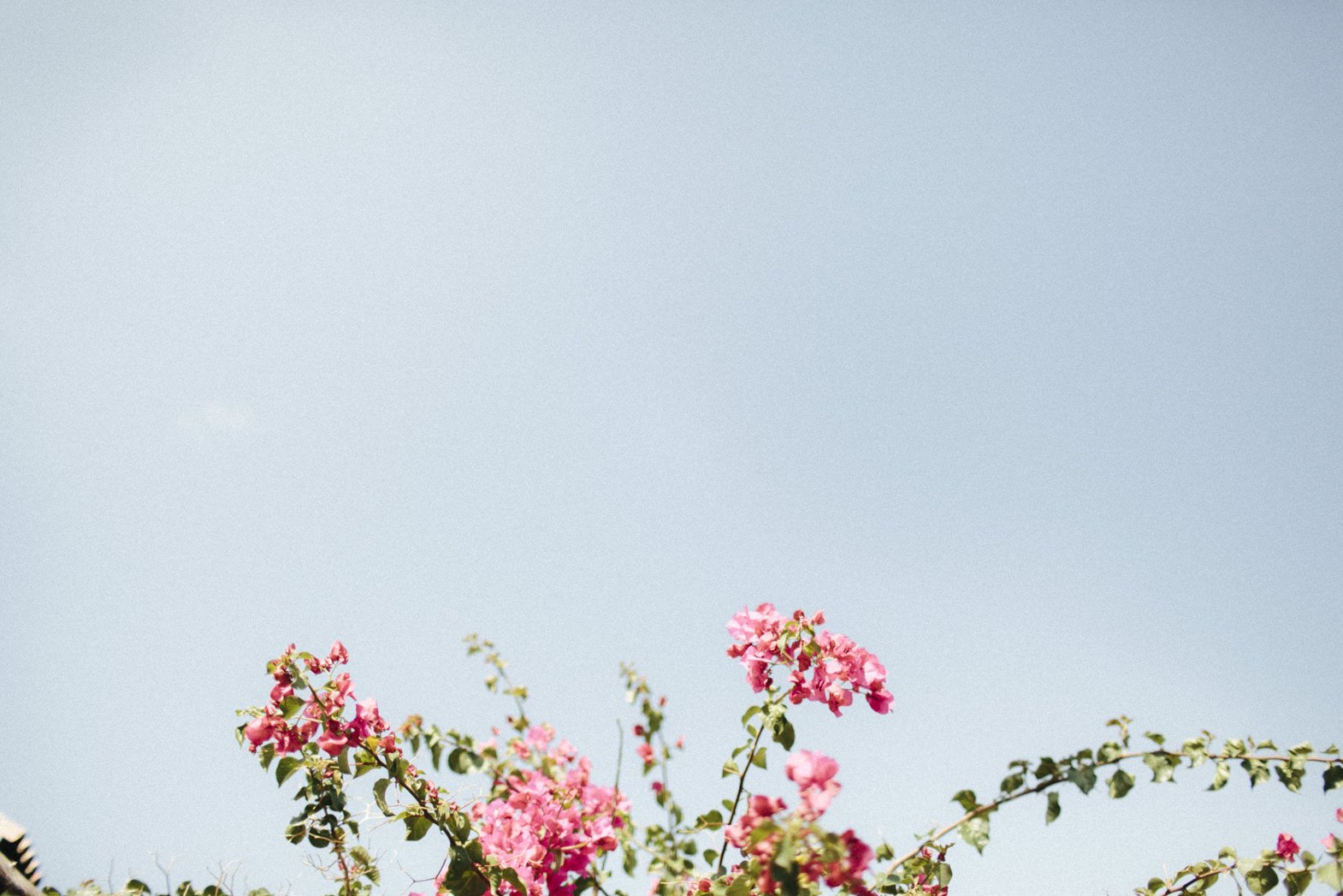 WEDDINGS AT RANCHO DEL INGLES (2).jpg
