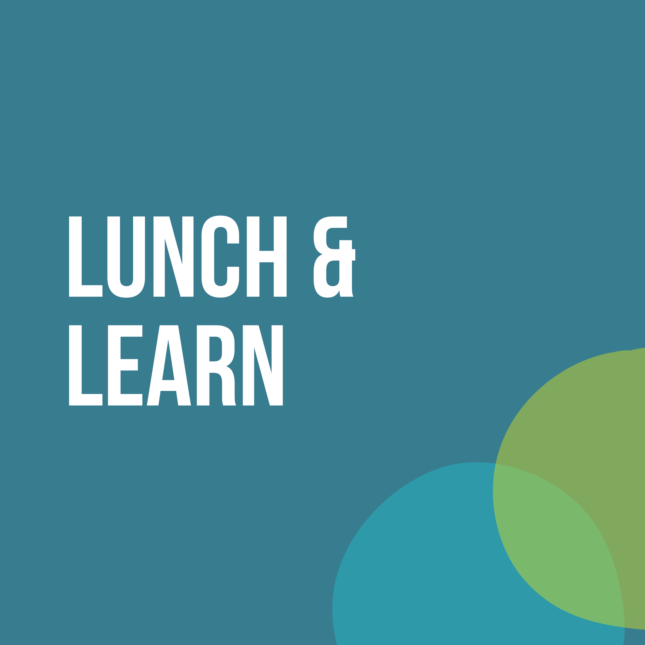 Lunch & Learn:
