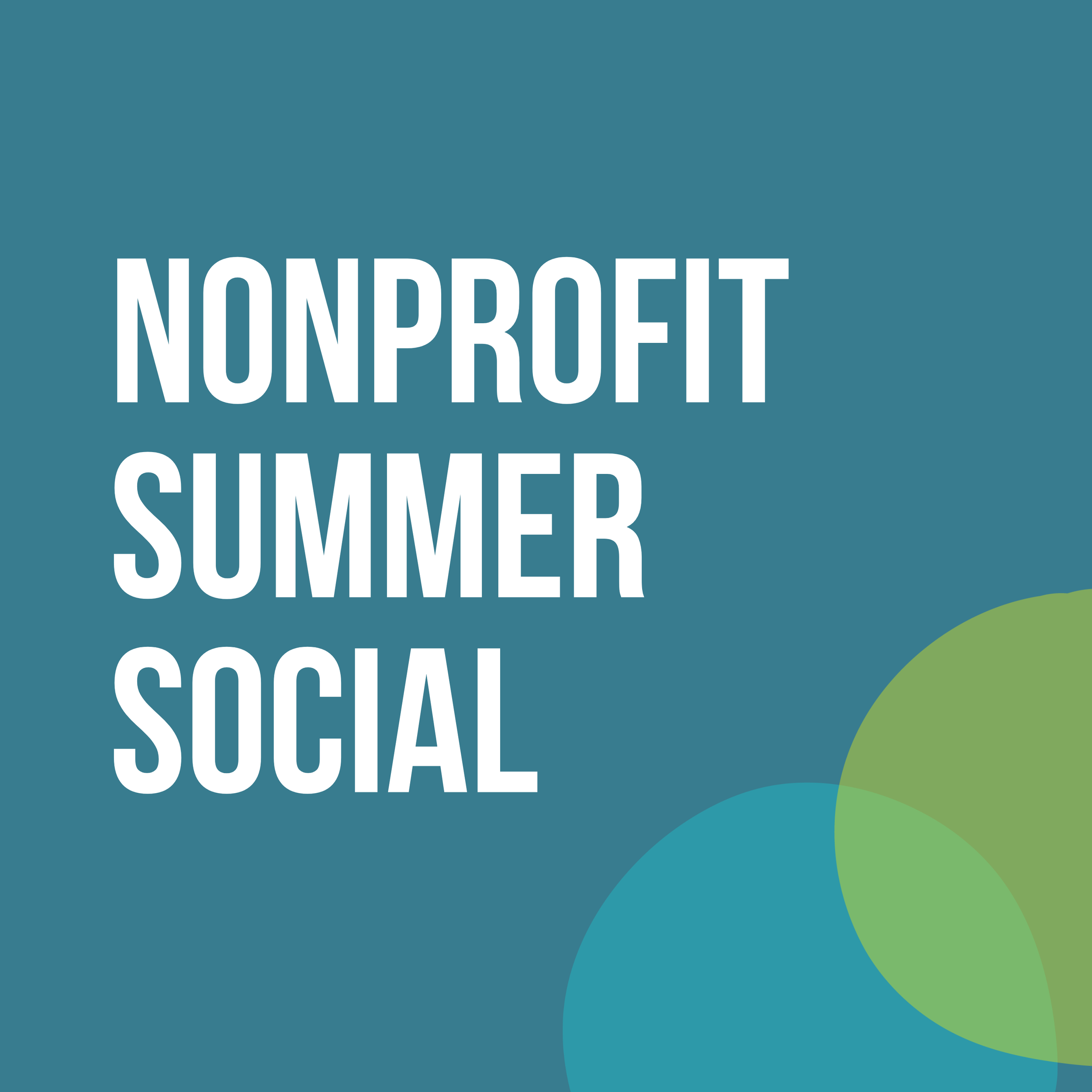 Nonprofit Summer Social