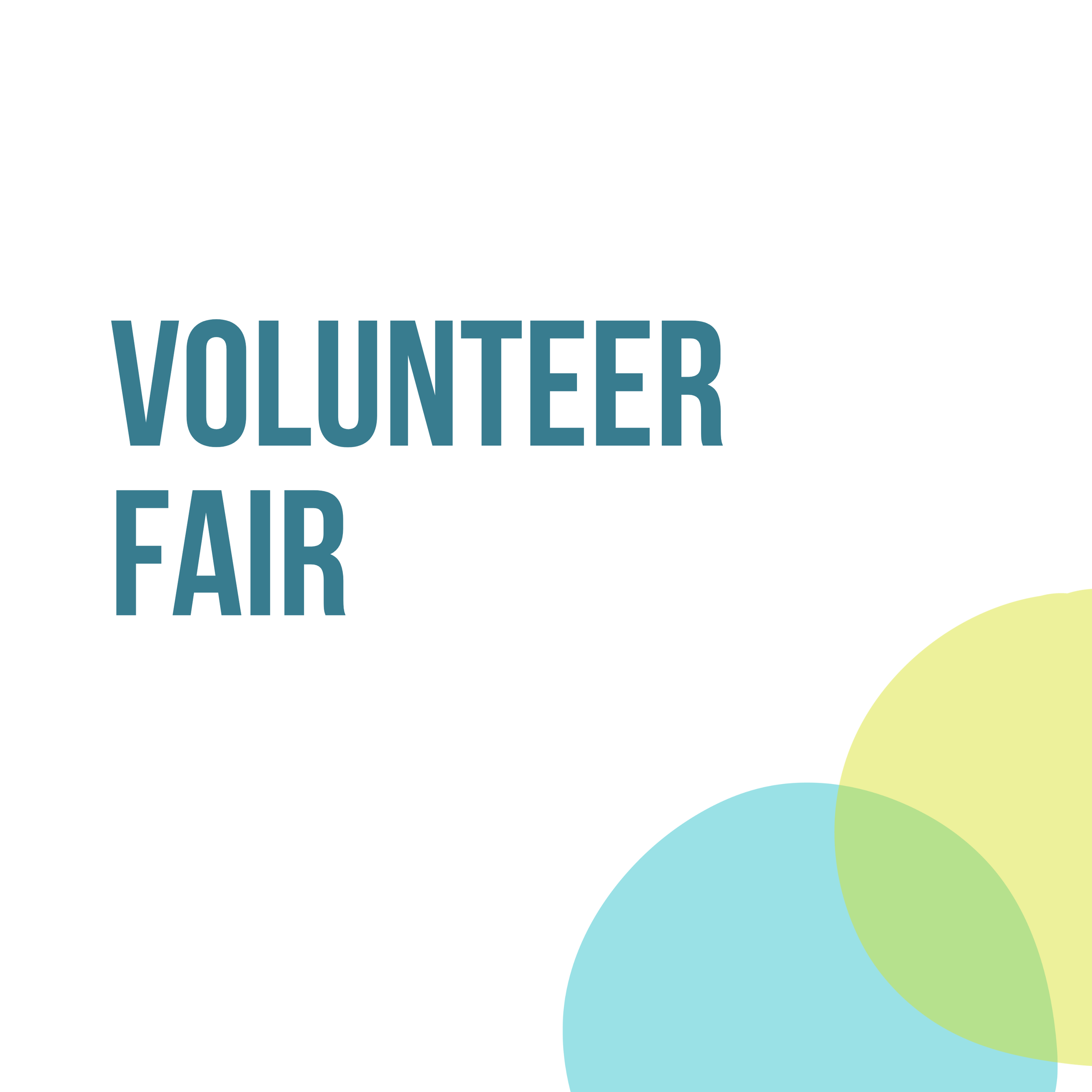 Ball State Faculty/Staff & Community Volunteer Fair