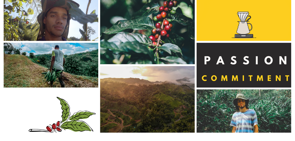 Best coffee to buy online. Coffee Subscriptions. Strong and Freshly ...