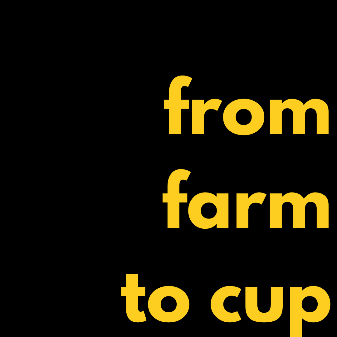 from farm to cup .png