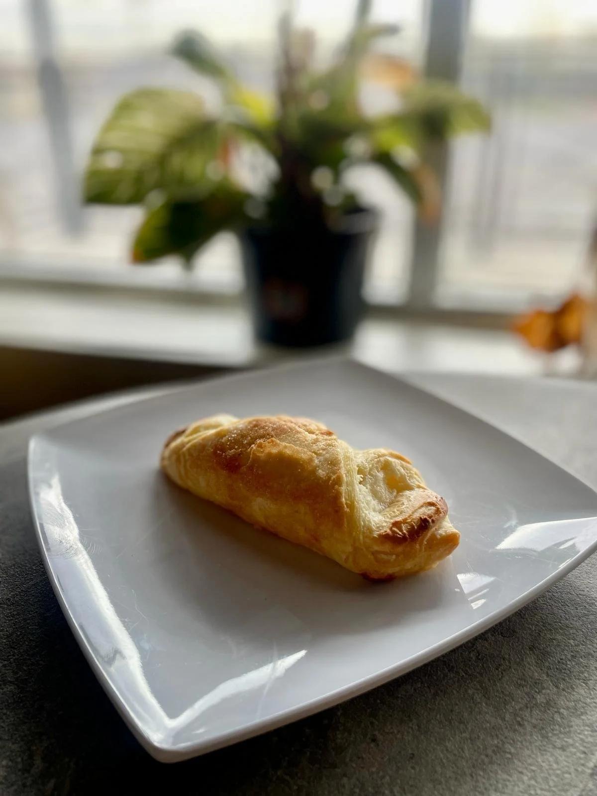 WhatsApp Image 2024-03-29 at 10.12.16_b39d9847.jpg