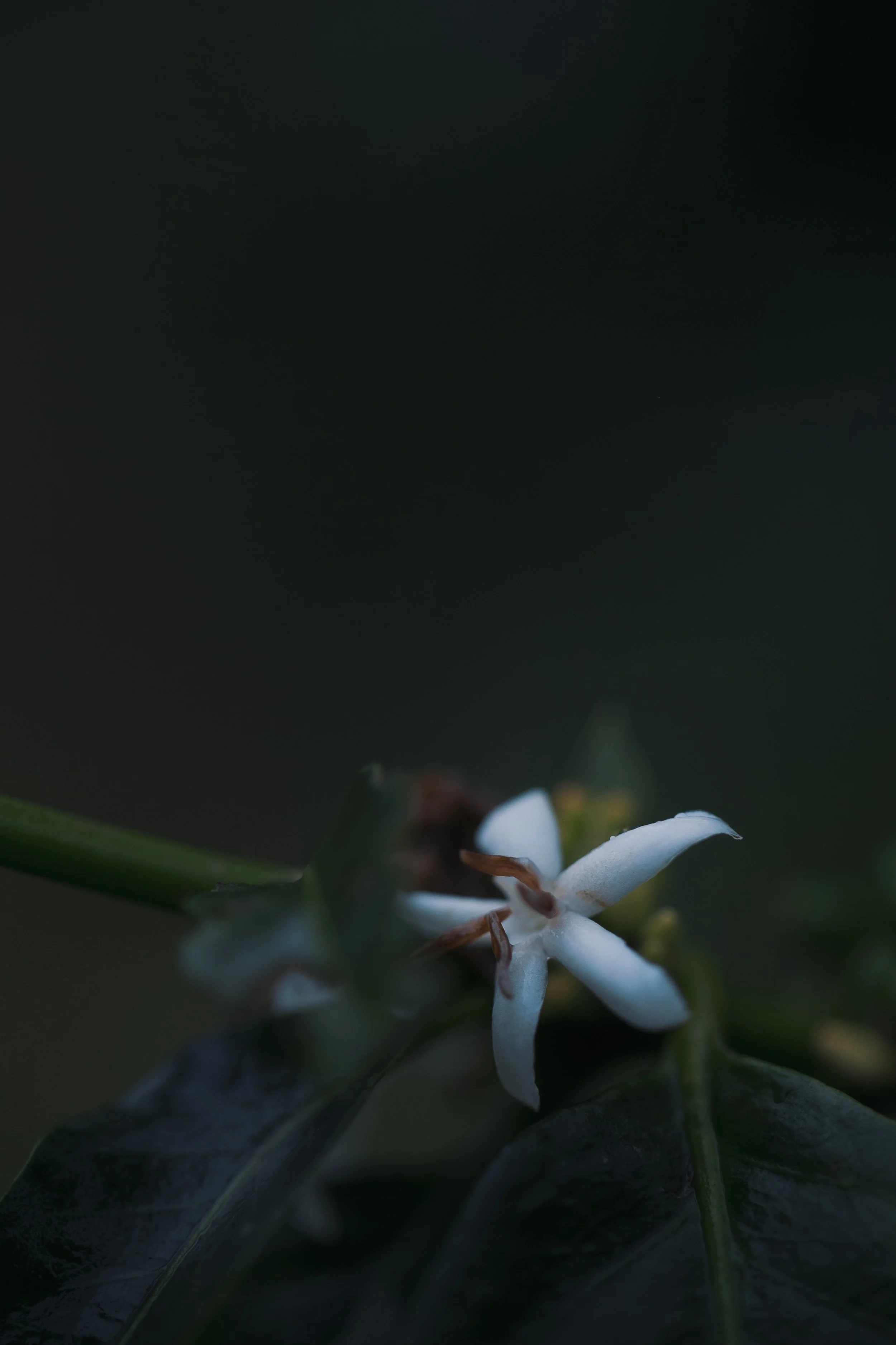 untitled-773.jpeg