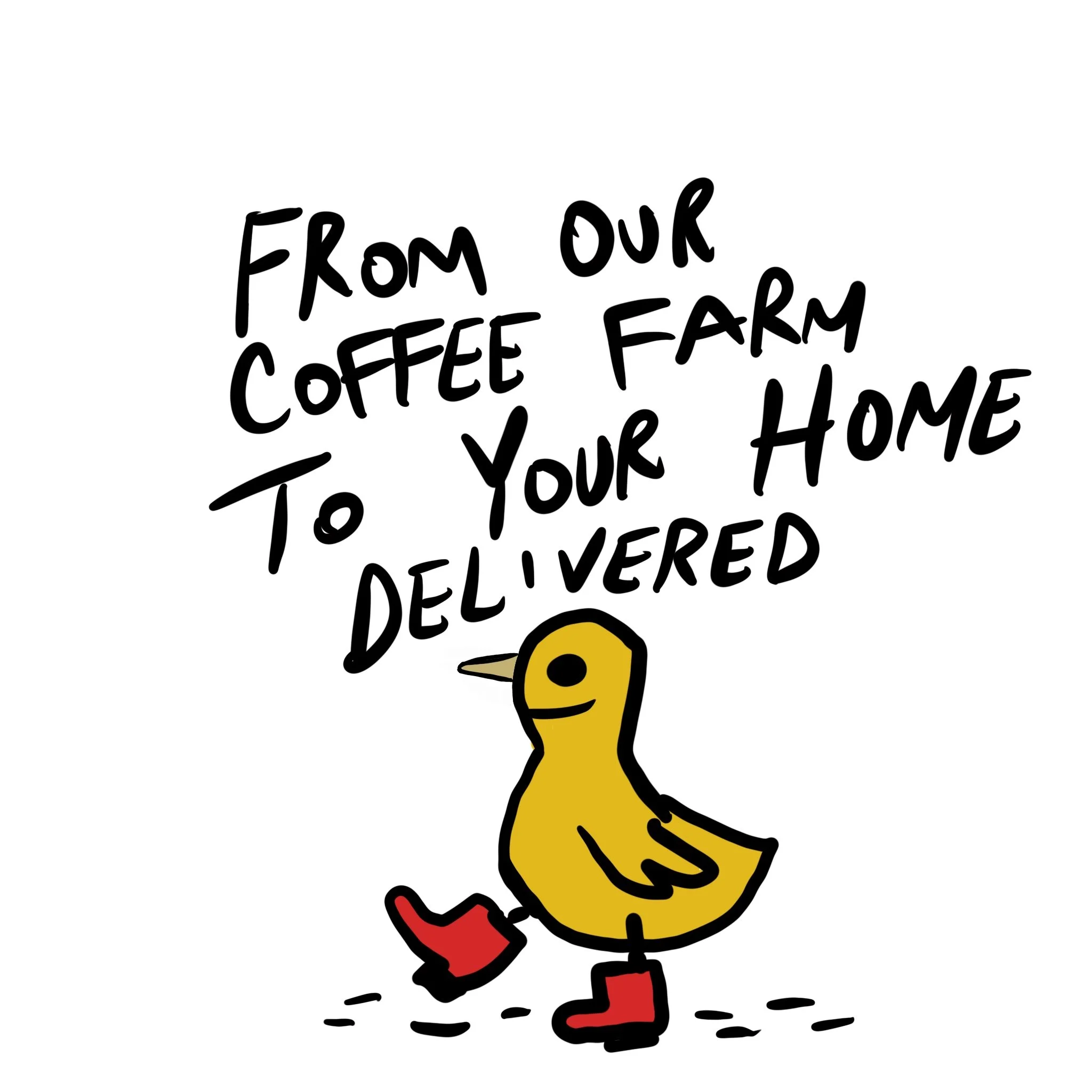 From our coffee farm to your home delivered - 787 Coffee fresh roasted Puerto Rican coffee beans online delivery and local coffee shops