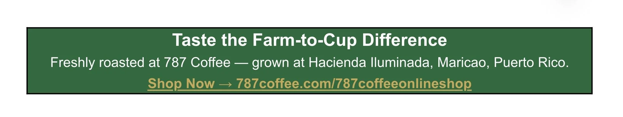 Taste the best coffee farm to cup coffee experience frashly roasted coffee