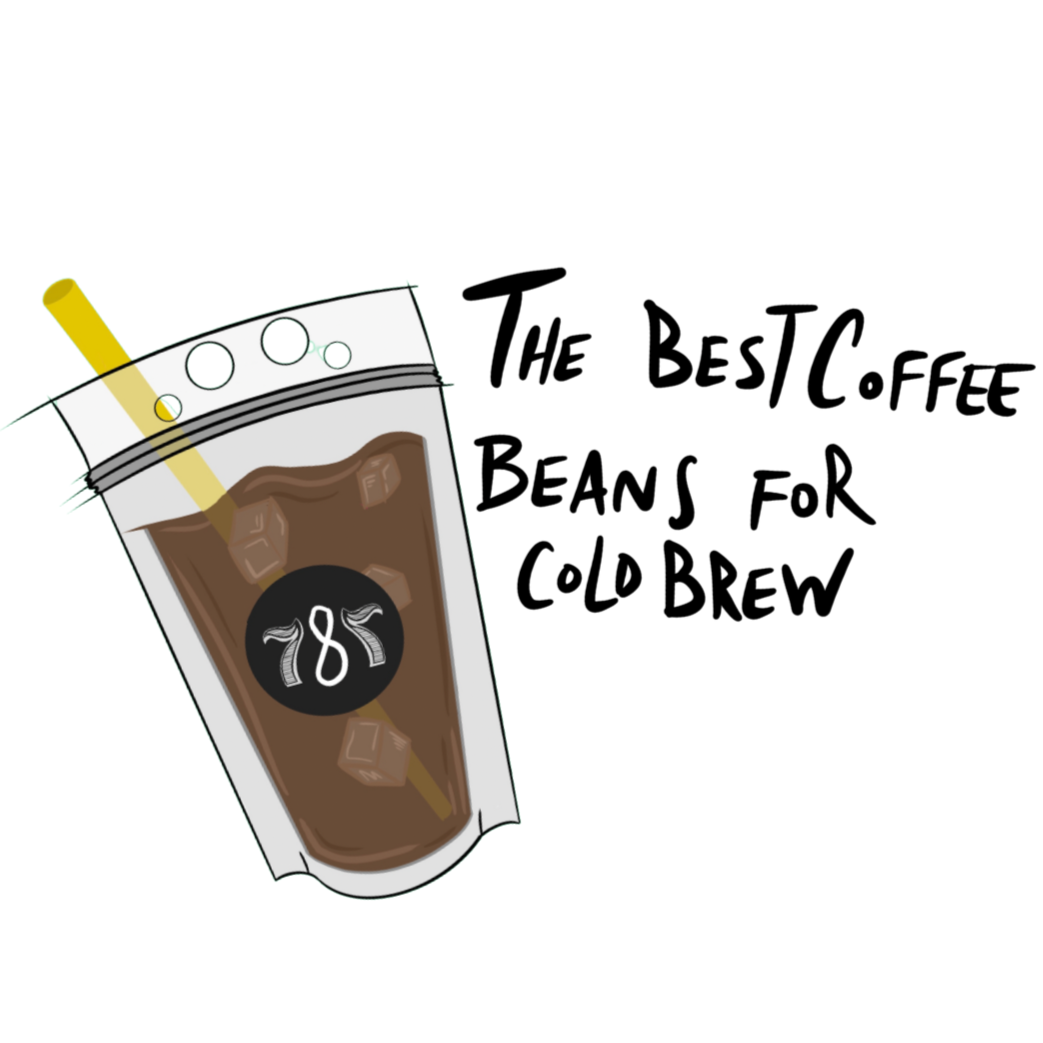Best coffee beans for cold brew 2026  787 Coffee NuevaYOL Supremo Roast  single origin Puerto Rico Mexico  Colombia honey process Hacienda  Iluminada farm grown freshly roasted  buy online free shipping plant a tree  award winning number 3 NYC