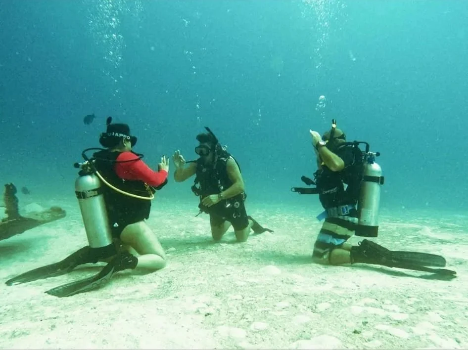 divers training on sea floor