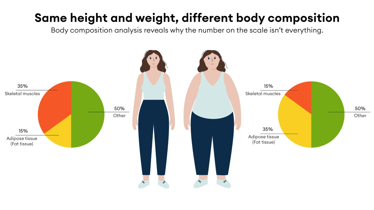 Why the Scale Doesn’t Tell the Whole Story