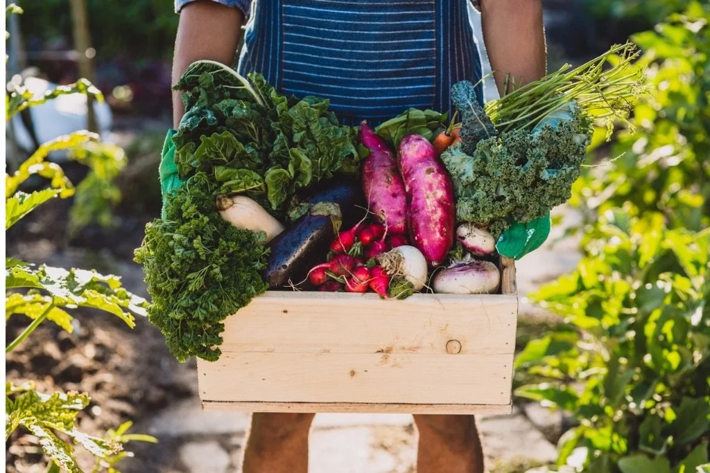 MEET OUR FARMERS