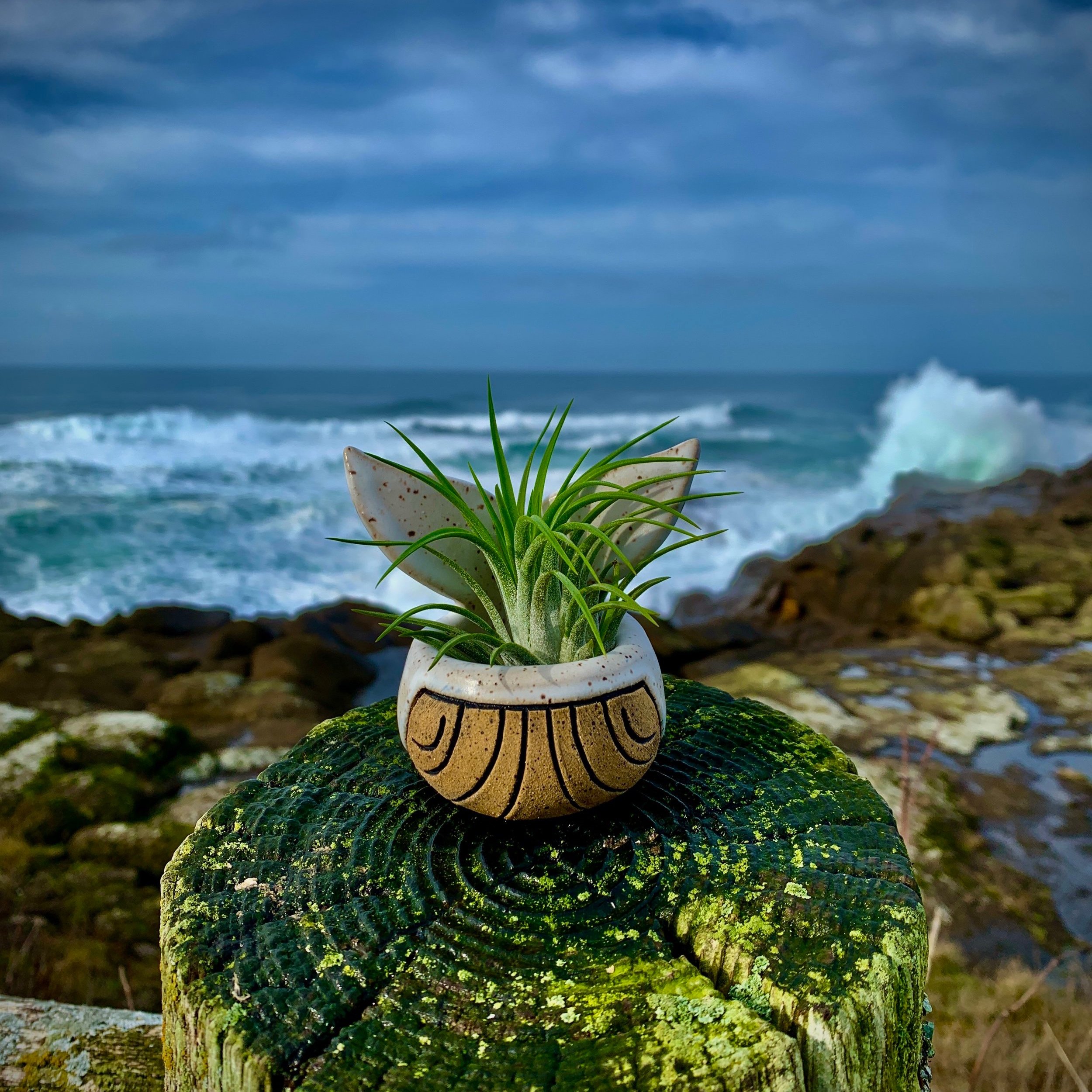 Janicek Whale Pot - S - Arctic Sea