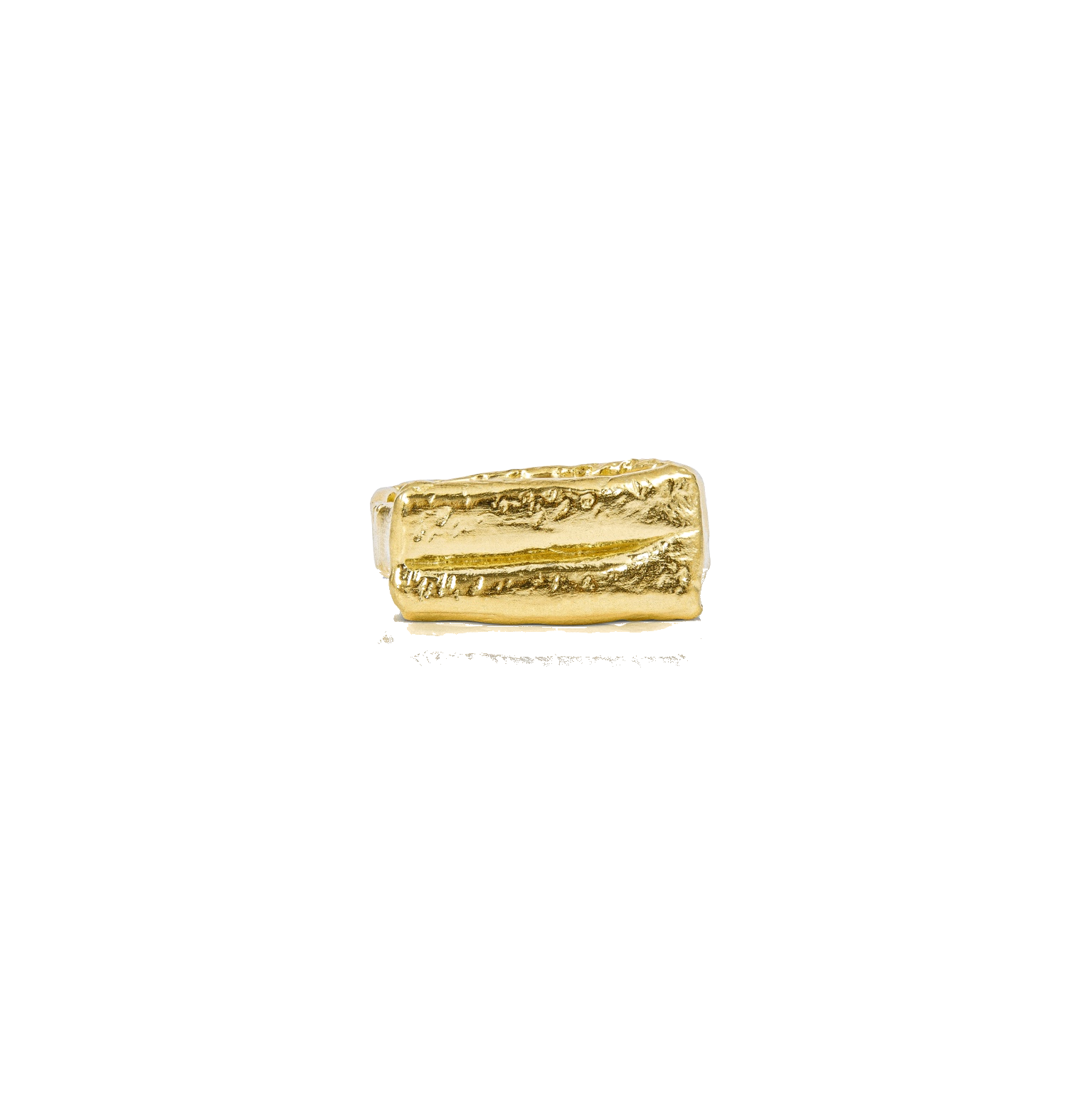 05_ring_transparent (1).png