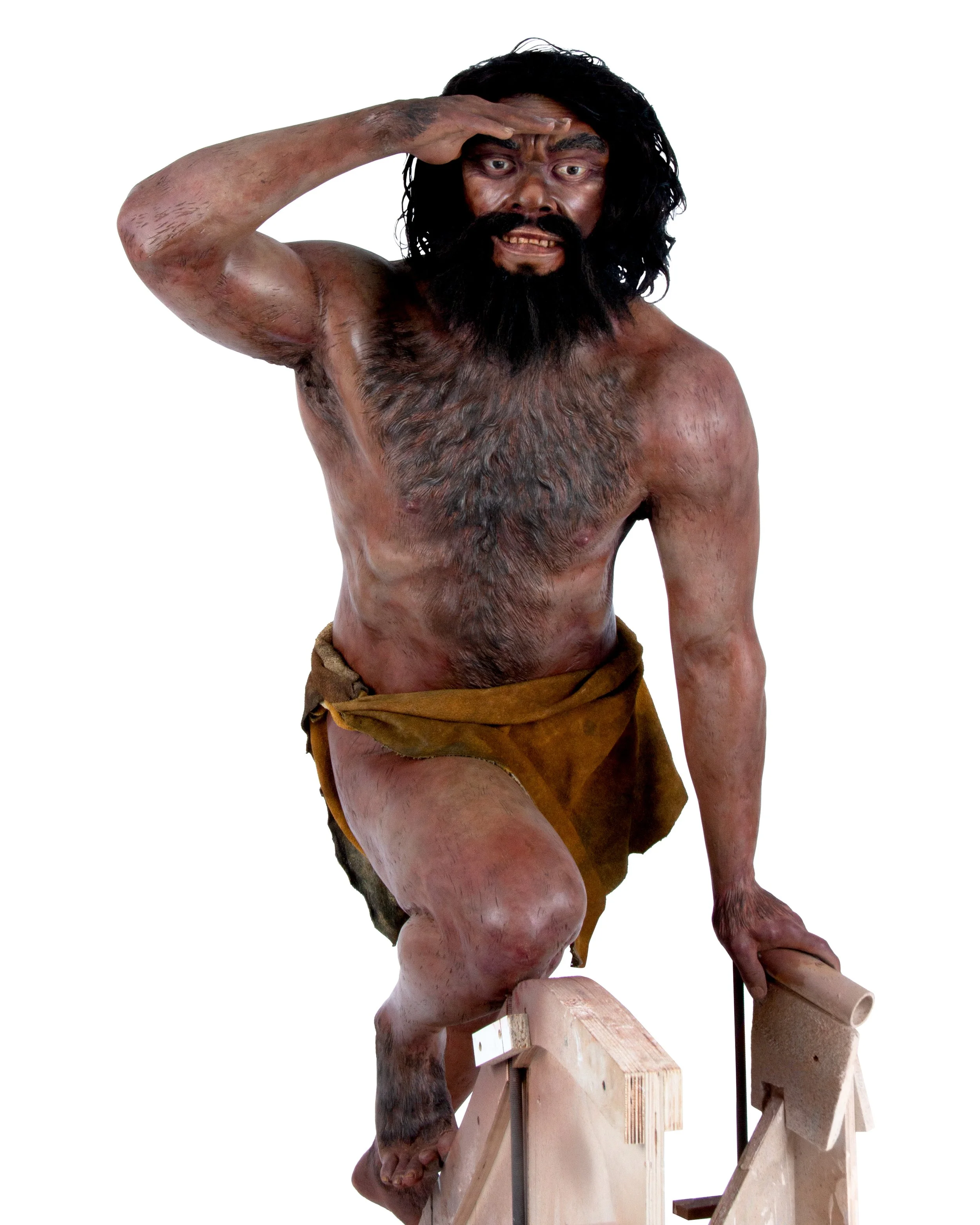 atta-neanderthal-1.jpg