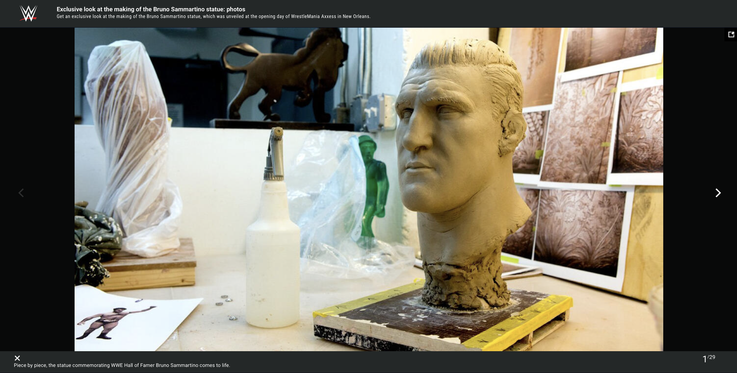 Bruce BTS- WWE.png