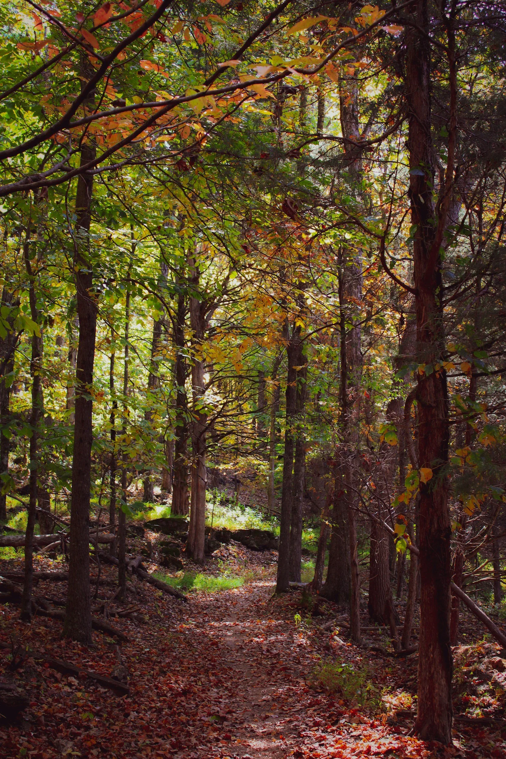🥾 Top 5 Hiking Trails Around MKE
