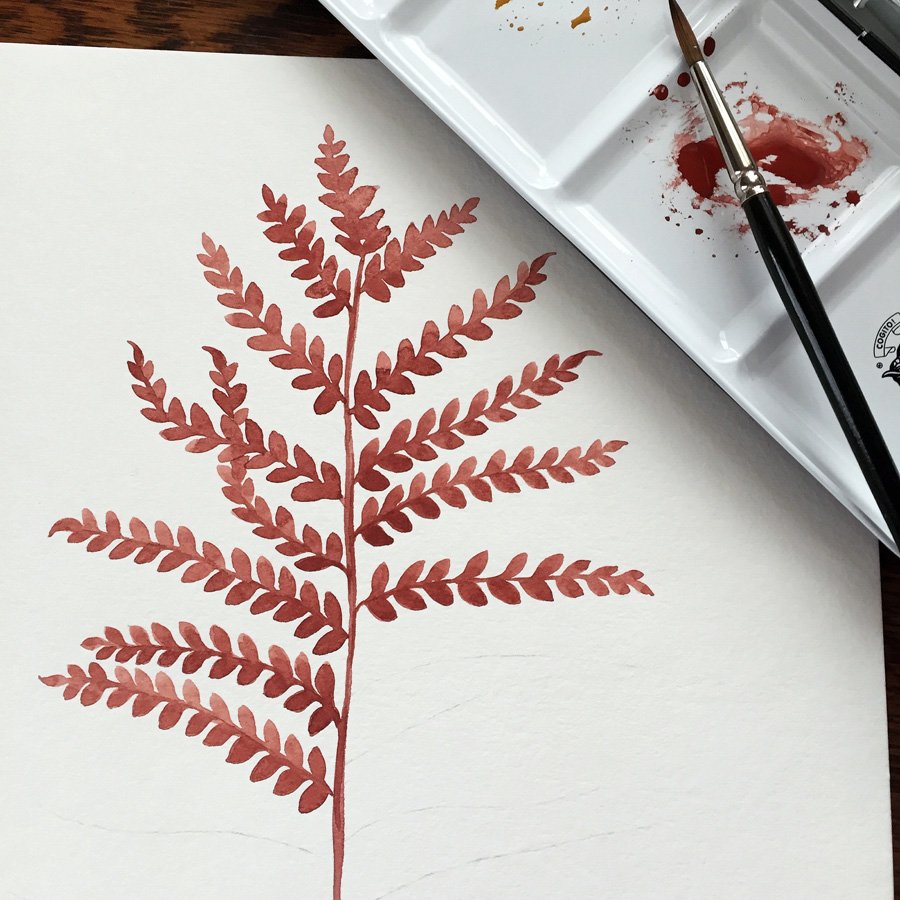 Fern watercolor painting by Phoebe Stout for Talufane