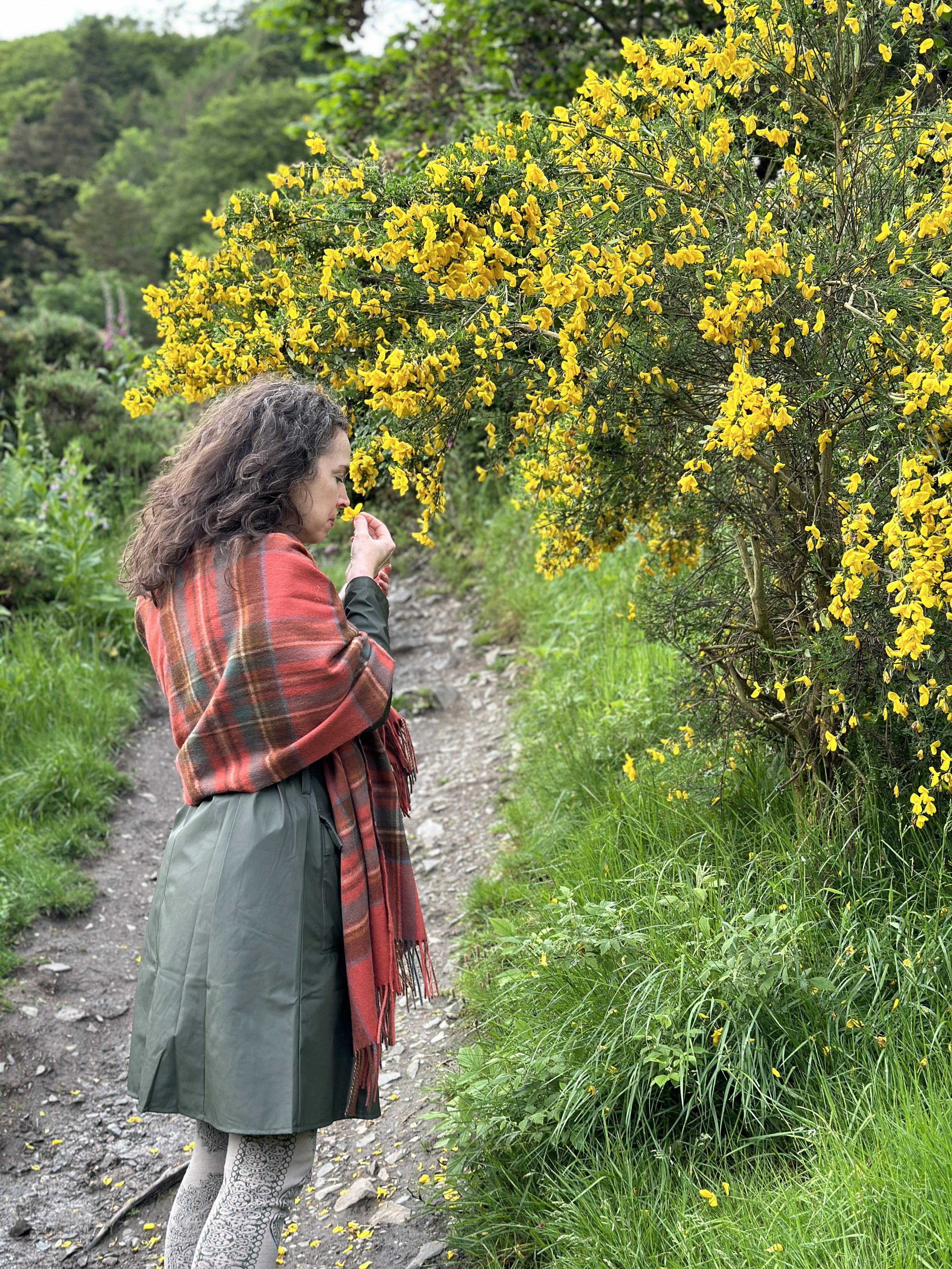 Phoebe Stout smelling Gorse flowers along the River Tweed in Peebles Scotland