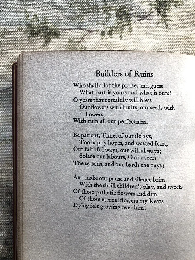 Builders of Ruins poem 3.jpg (Copy)