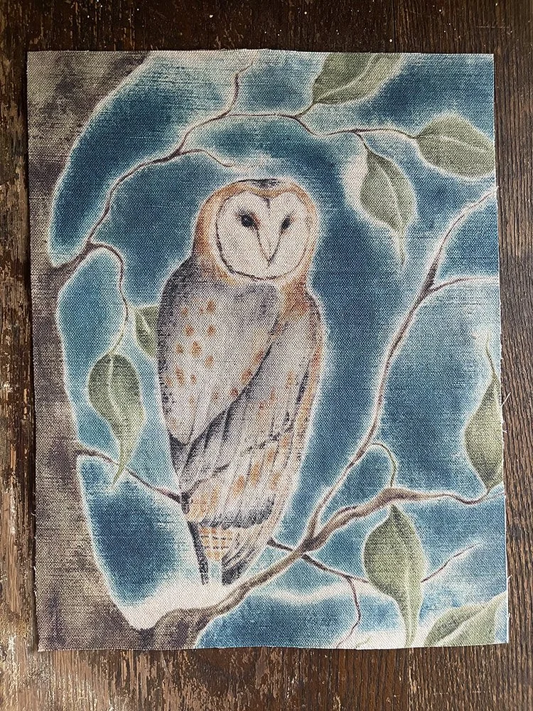 Forgotton Crowns Owl.jpg