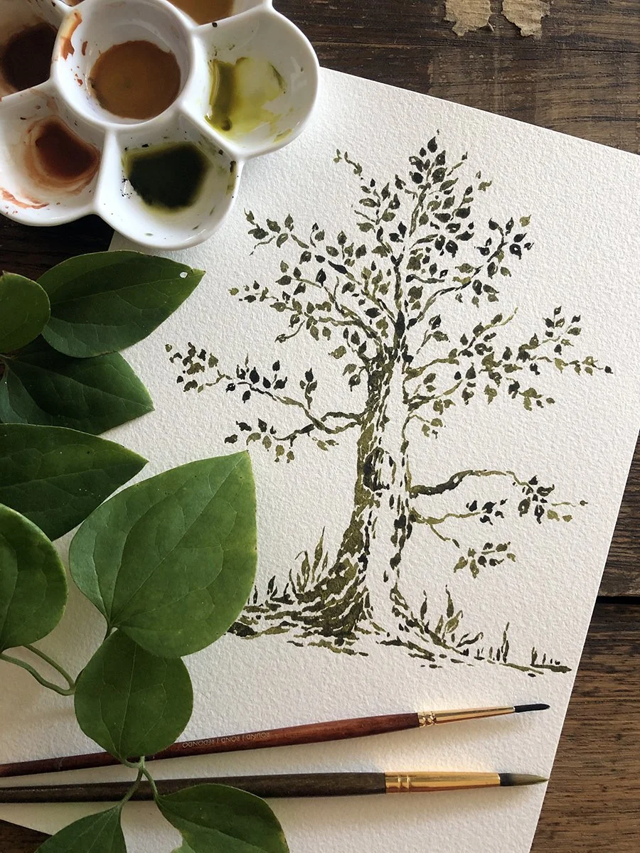 Wise One watercolor painting by Phoebe Stout for Talufane